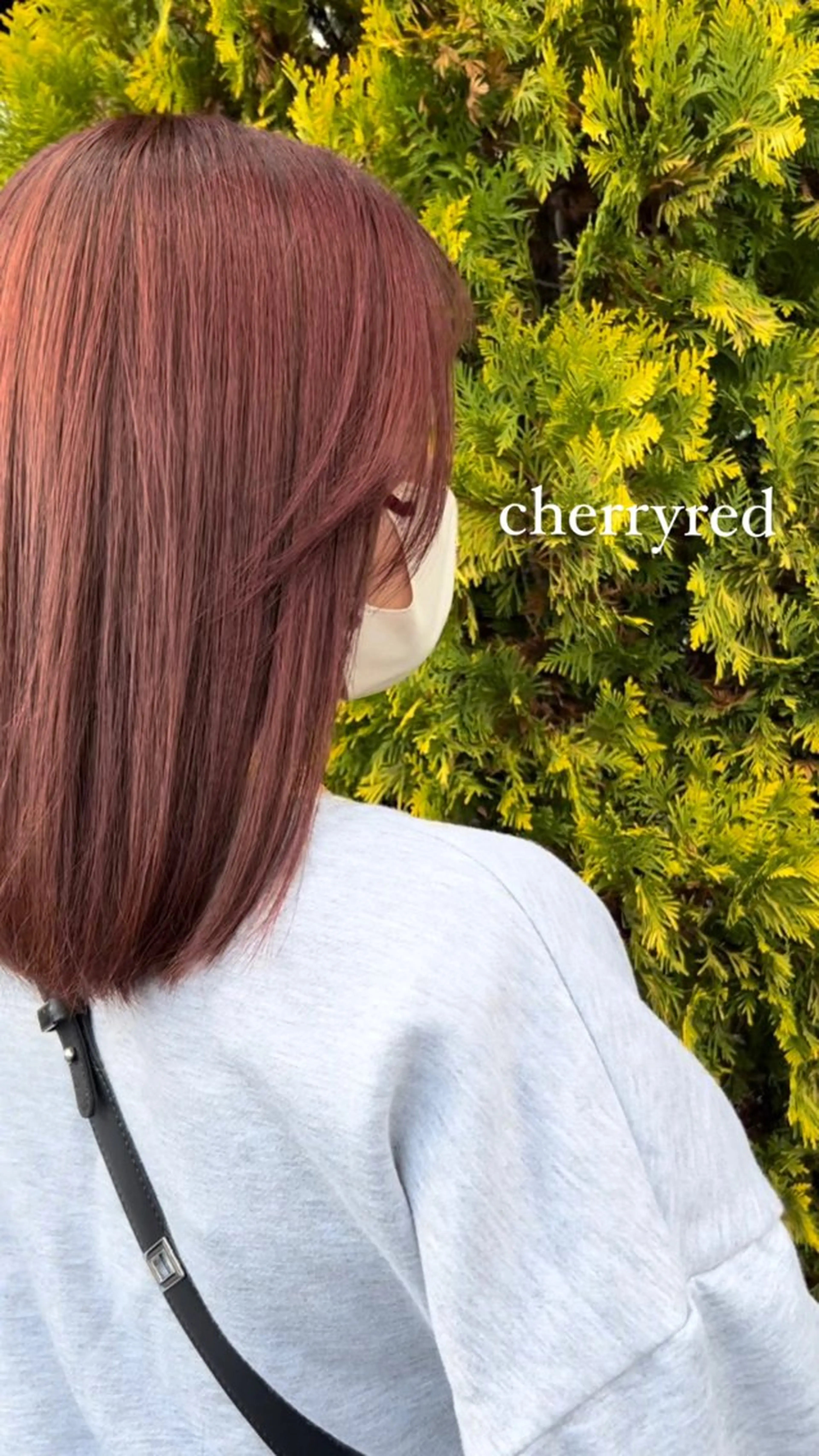 カラー SENA Rimのヘアスタイル