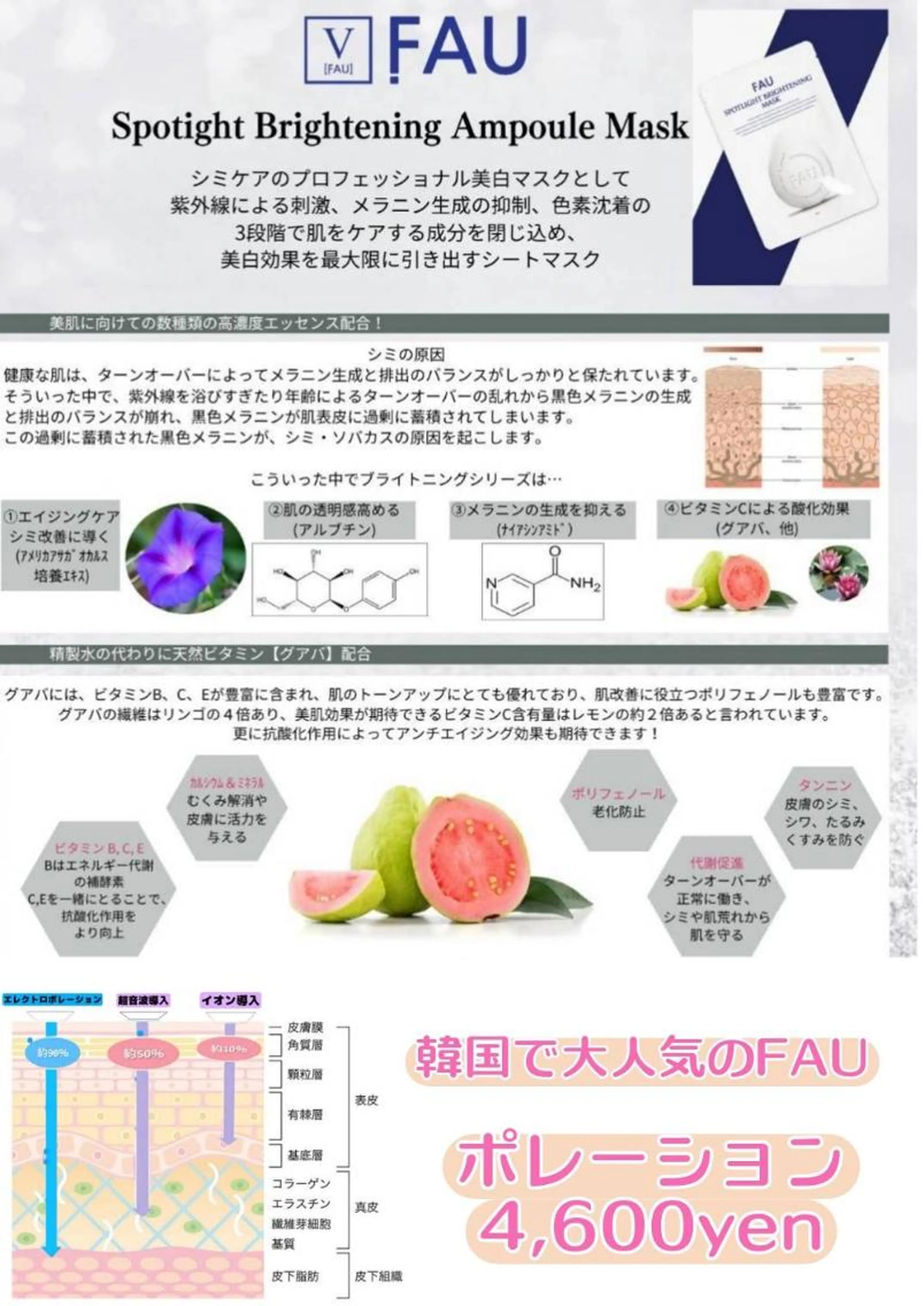 シミケア韓国ポレーションの写真