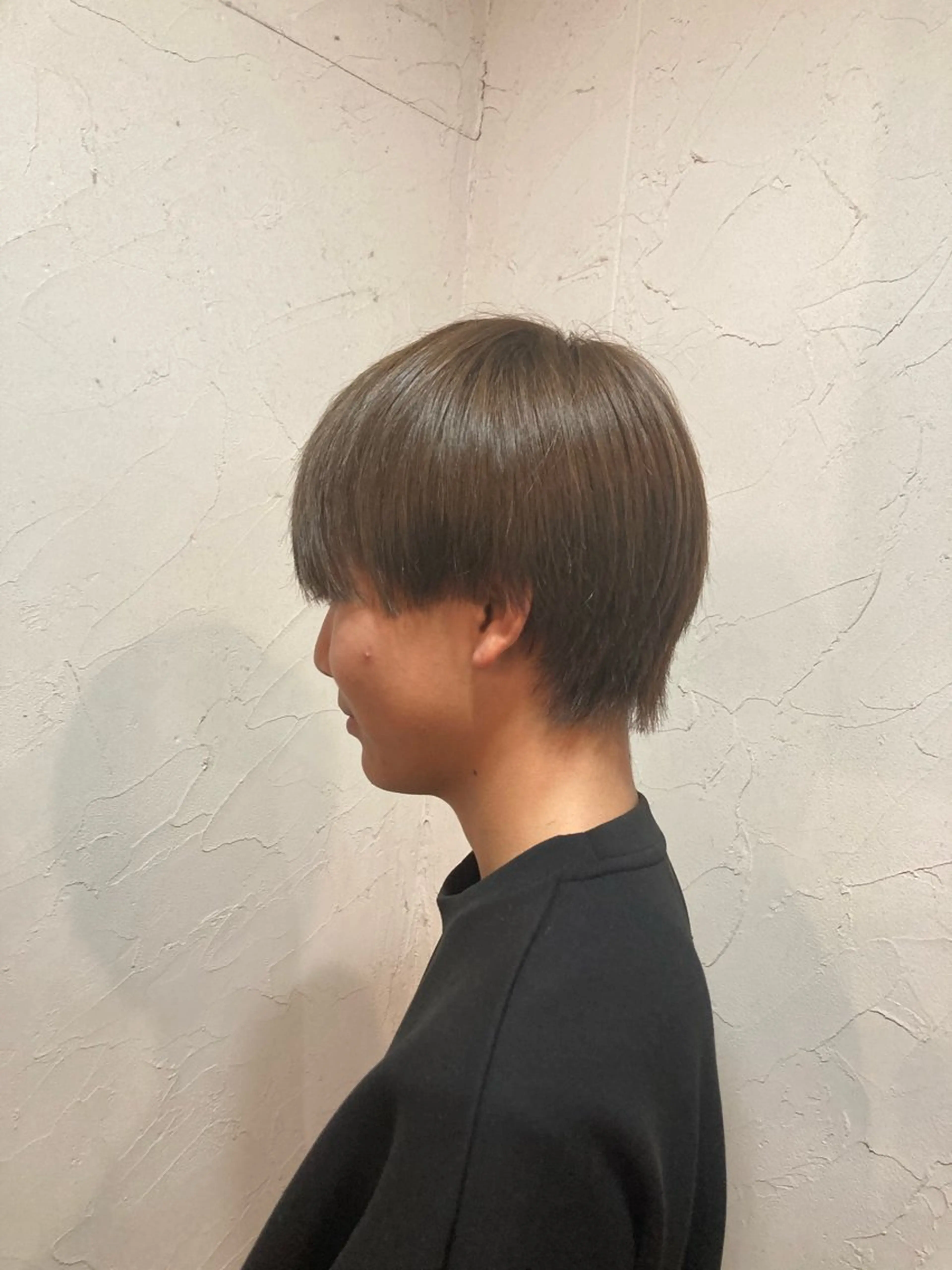 ショート カラー メンズ マッシュ 佐藤 健のヘアスタイル