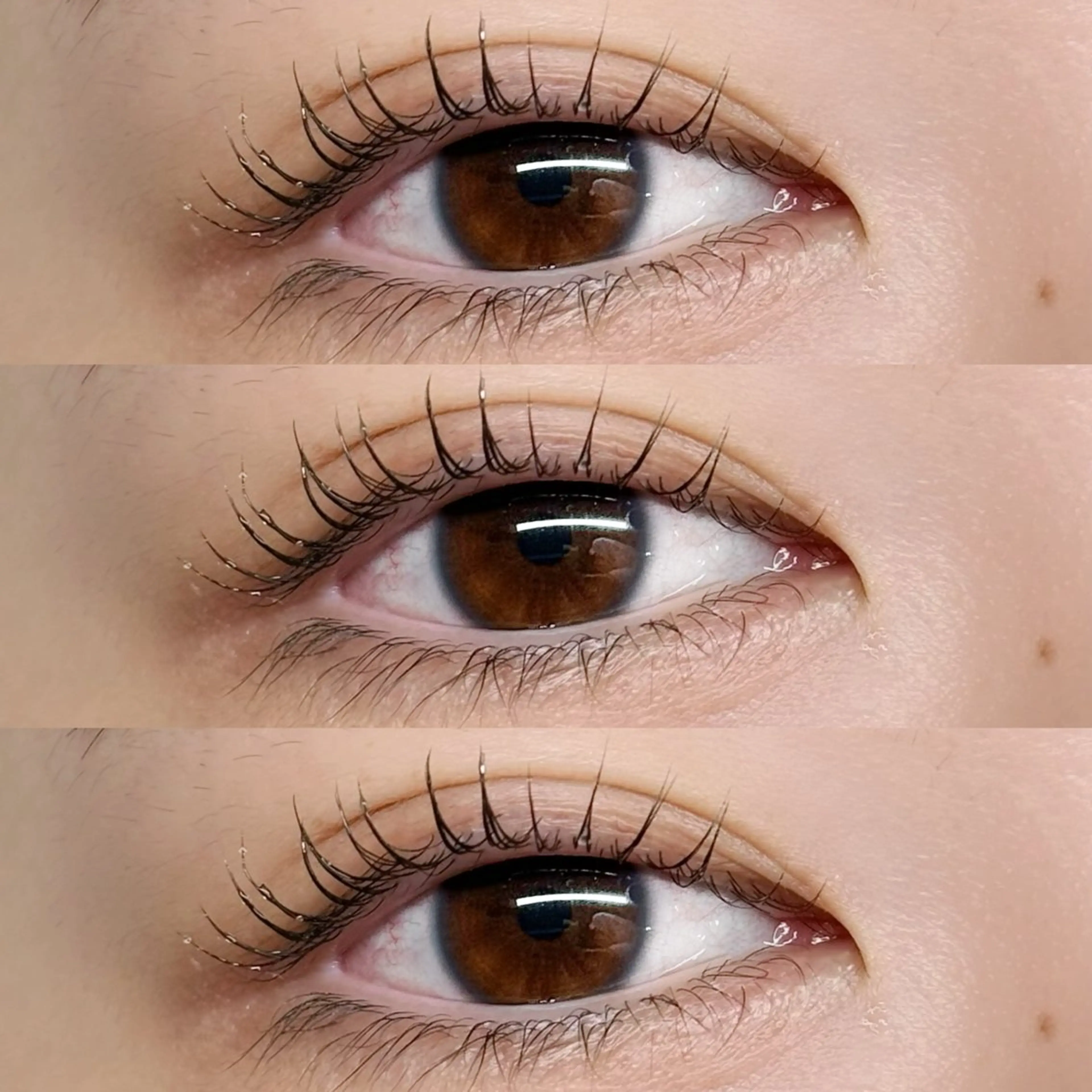 マツエク・マツパ まつげパーマ マツパ private salon楚々所属・プライベートサロン 楚々のマツエク・マツパデザイン