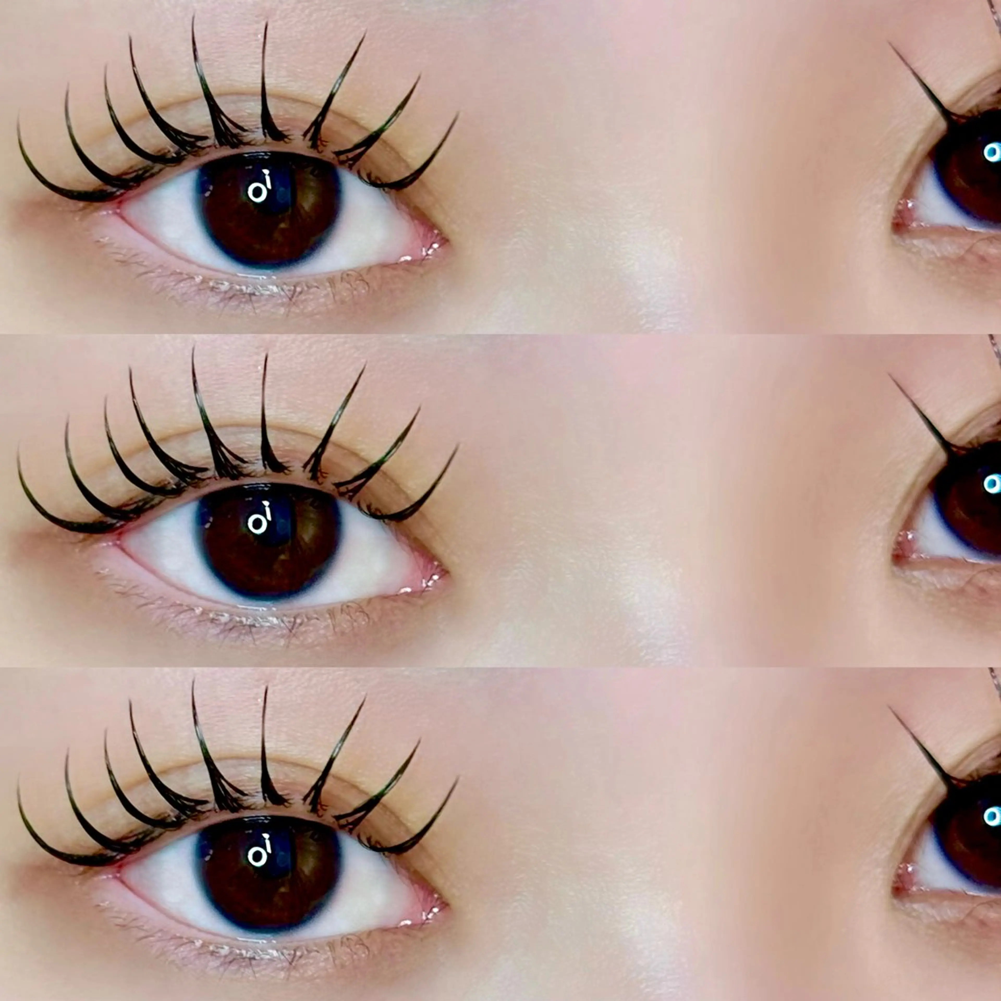 &healthy🍯🧸先にフラットラッシュ100本＋後に韓国風まつげパーマ🐝⋆゜本数追加可能🙆‍♀️の写真