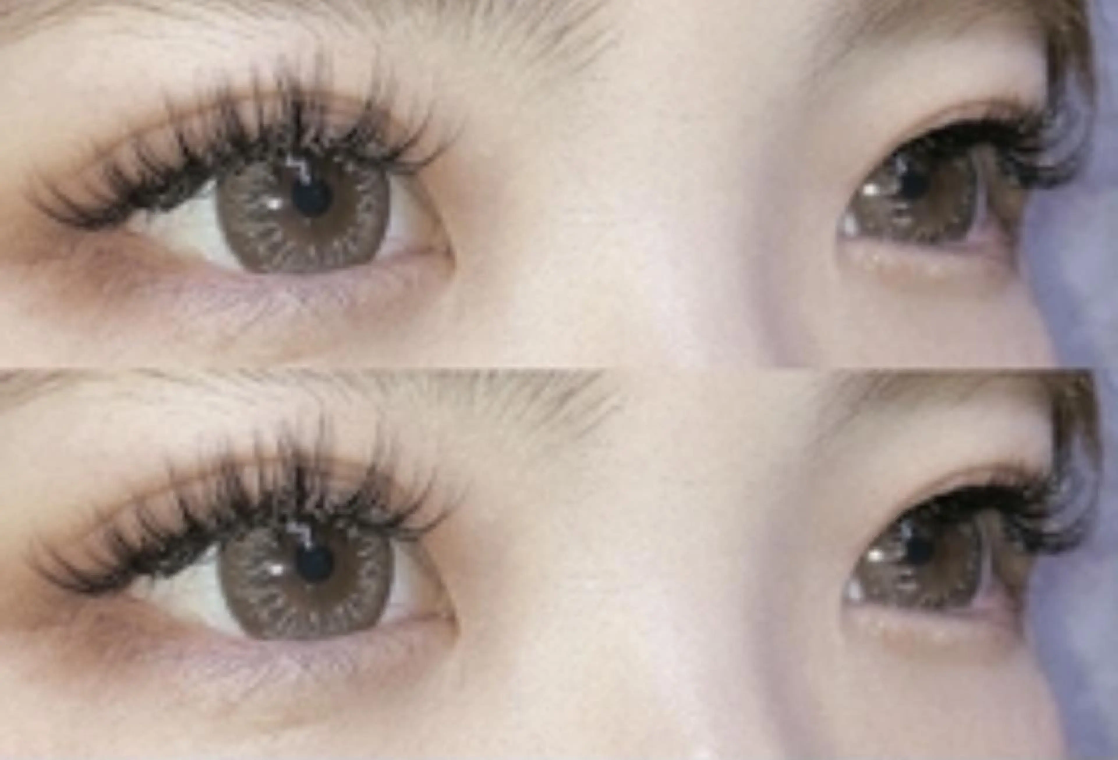 🥈ミニモ限定クーポン🧸フラットラッシュ120本の写真