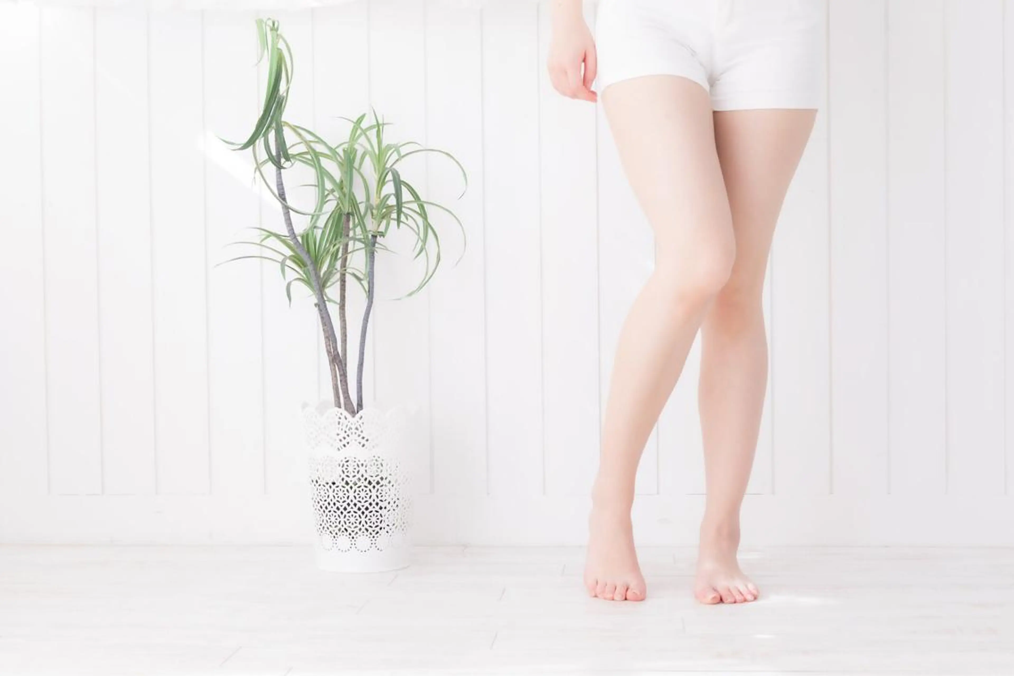 Mパーツ光脱毛【Vライン、Iライン、Oライン、腰周り、お腹、胸元、お尻】の写真