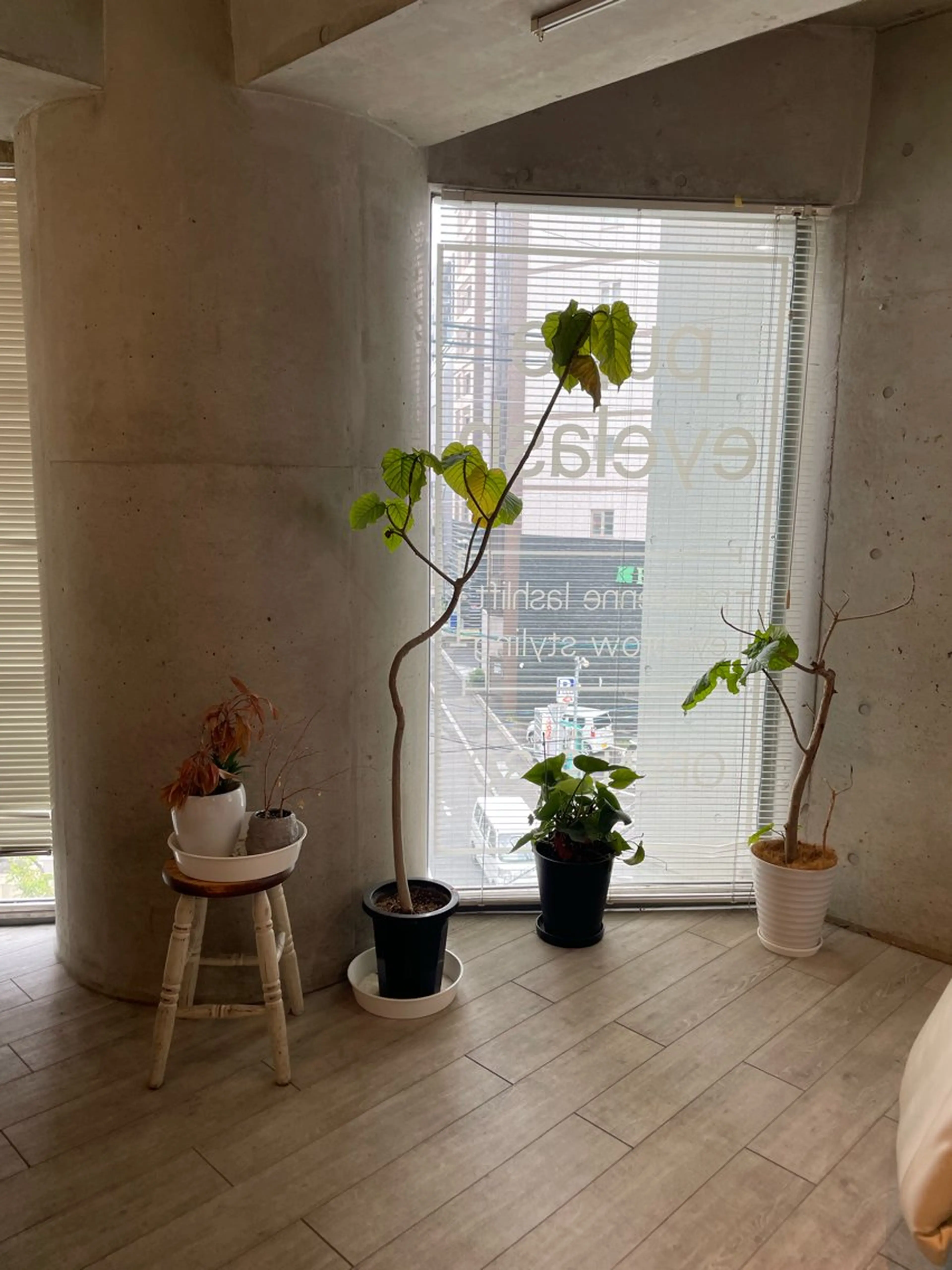 アイブロウ pupe eye&nail所属・為田 希美の眉毛・アイブロウイメージ