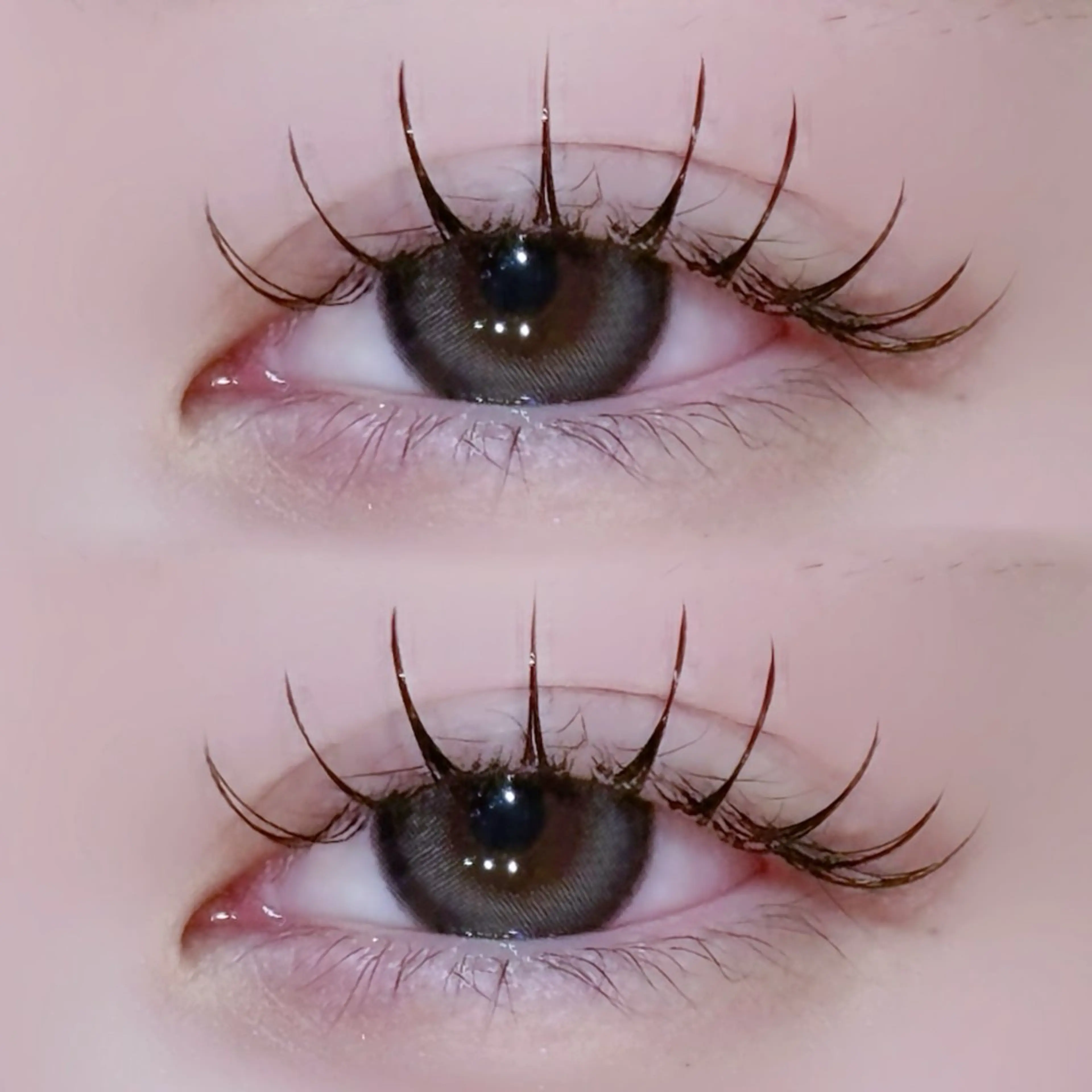 マツエク・マツパ EYELA🤍 蓜島のマツエク・マツパデザイン