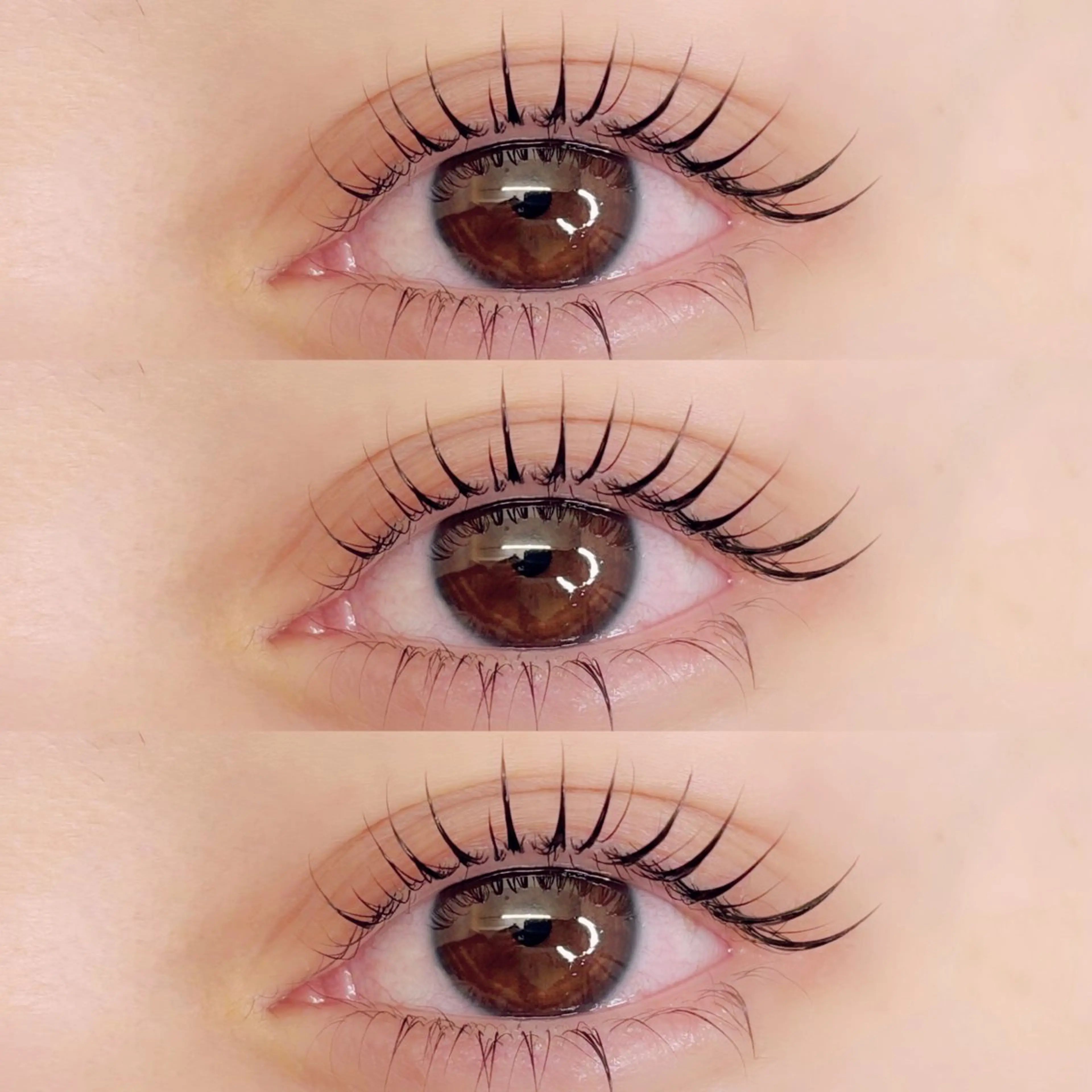 LEDエクステ120本［フラットラッシュ]🤍🌙の写真