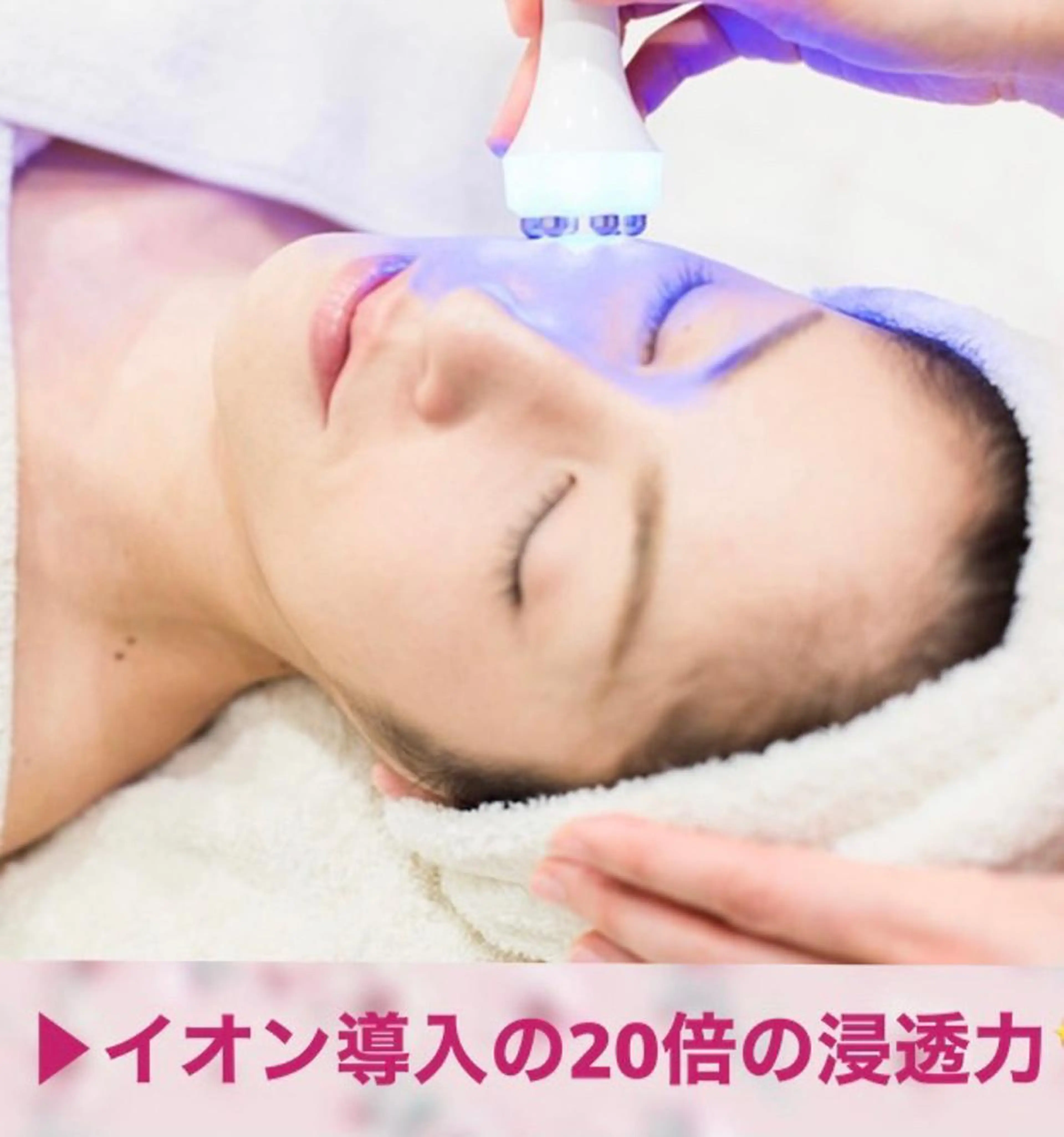 ポレーションコルギの写真