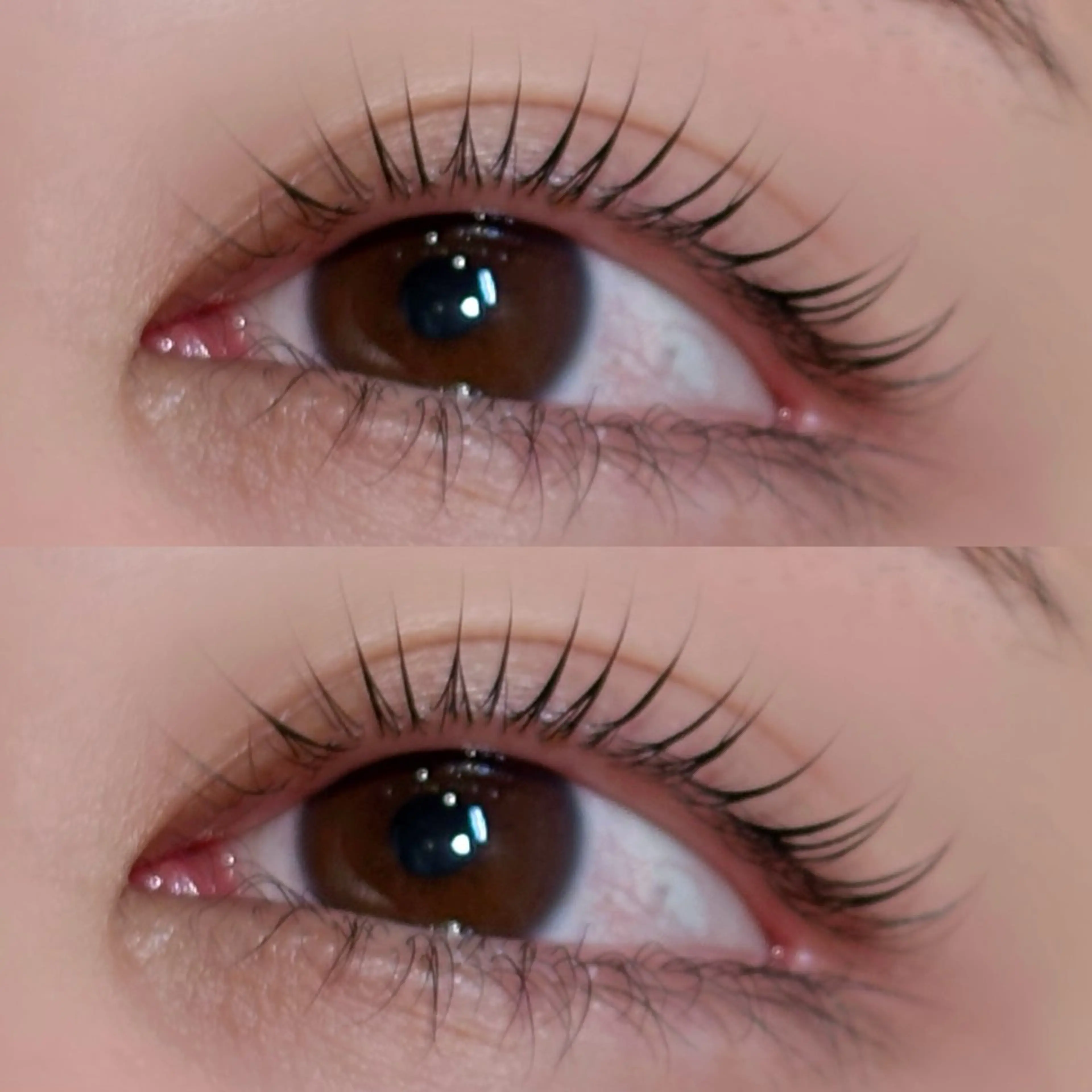 マツエク・マツパ Lazley 成増店 airuのマツエク・マツパデザイン