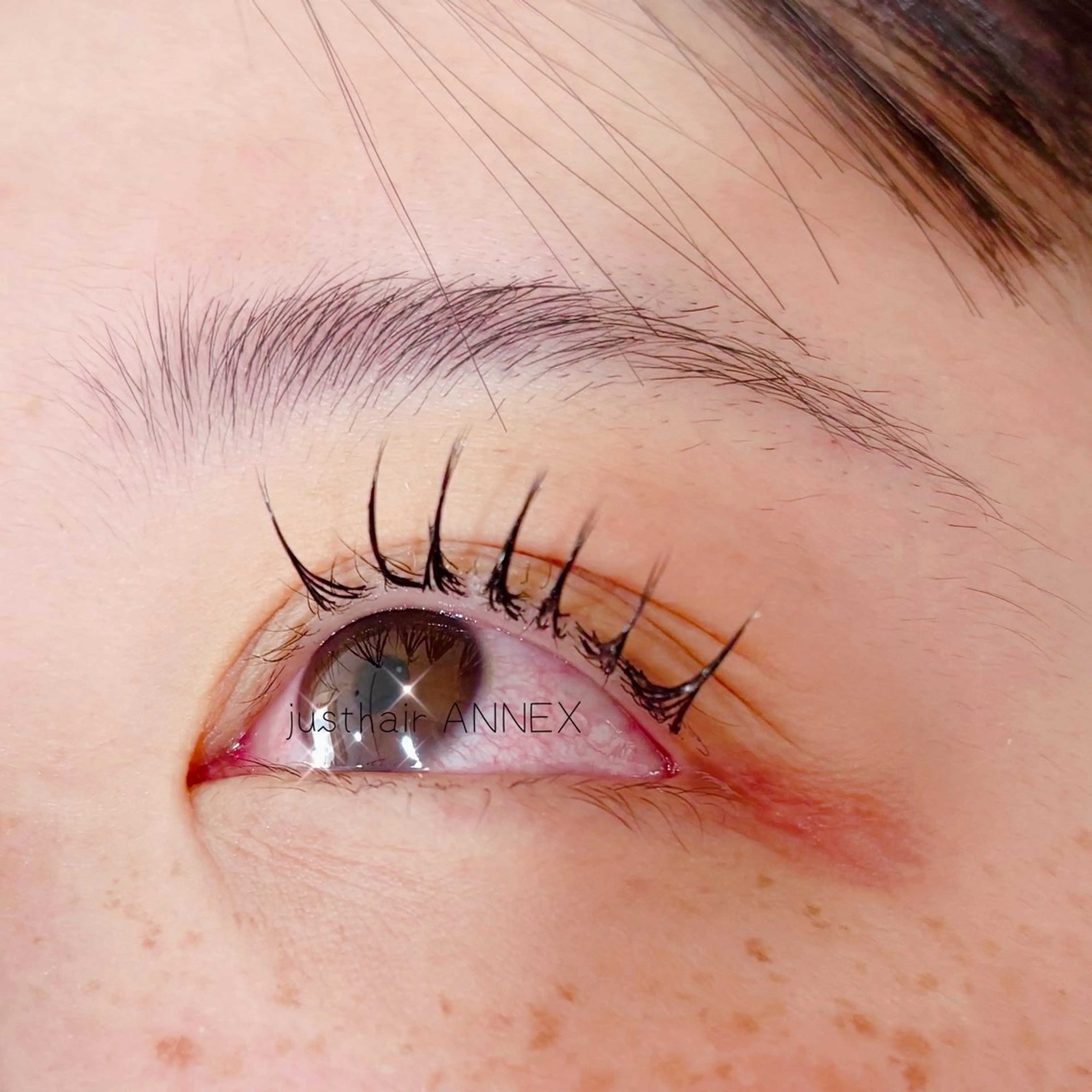 ⭐️マツエク⭐️ミンク100本まで付け放題⚠️オフ代別途（自店・他店別料金）の写真