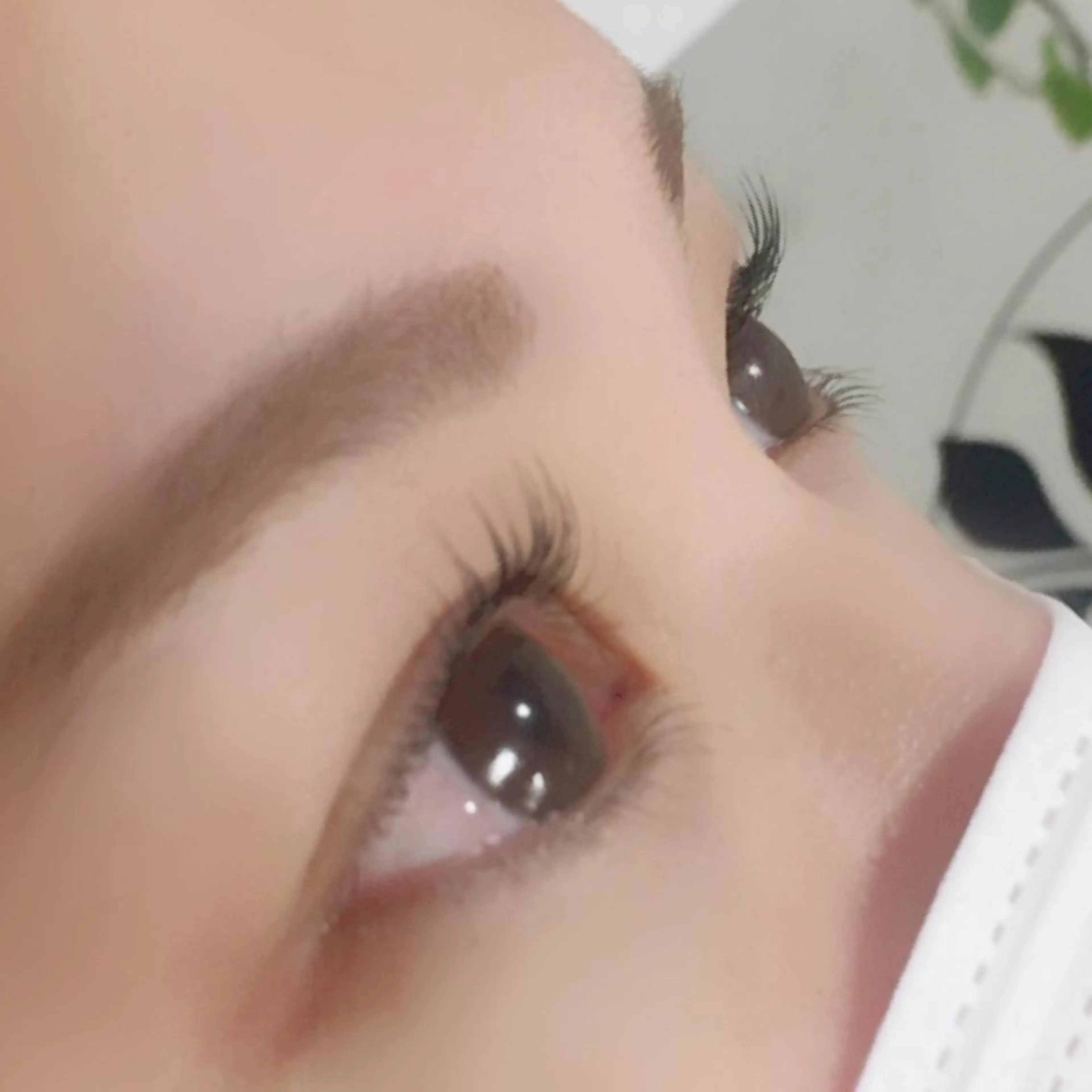 マツエク・マツパ メンズアイブロウ MAXIの眉毛・アイブロウイメージ