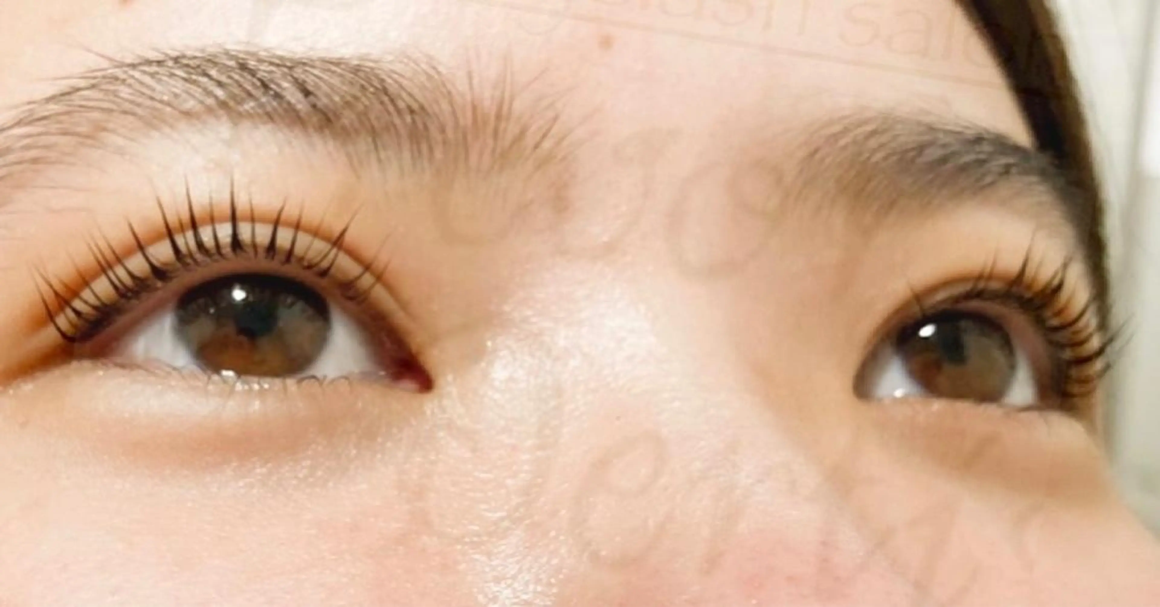 マツエク・マツパ マツパ トレヴァーデルチザン inuiのマツエク・マツパデザイン