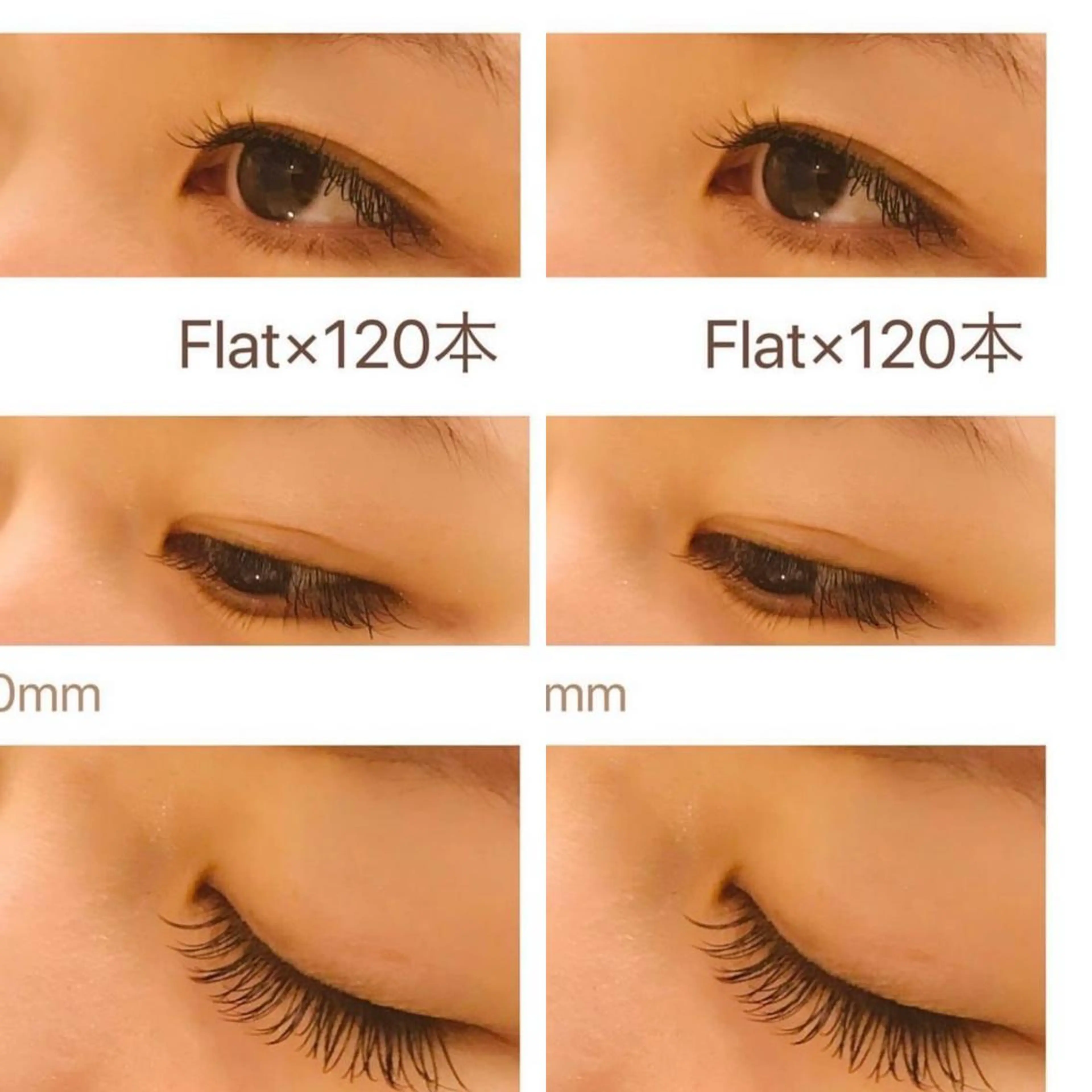 ＊オフ込み＊フラットラッシュ80​〜​100本の写真