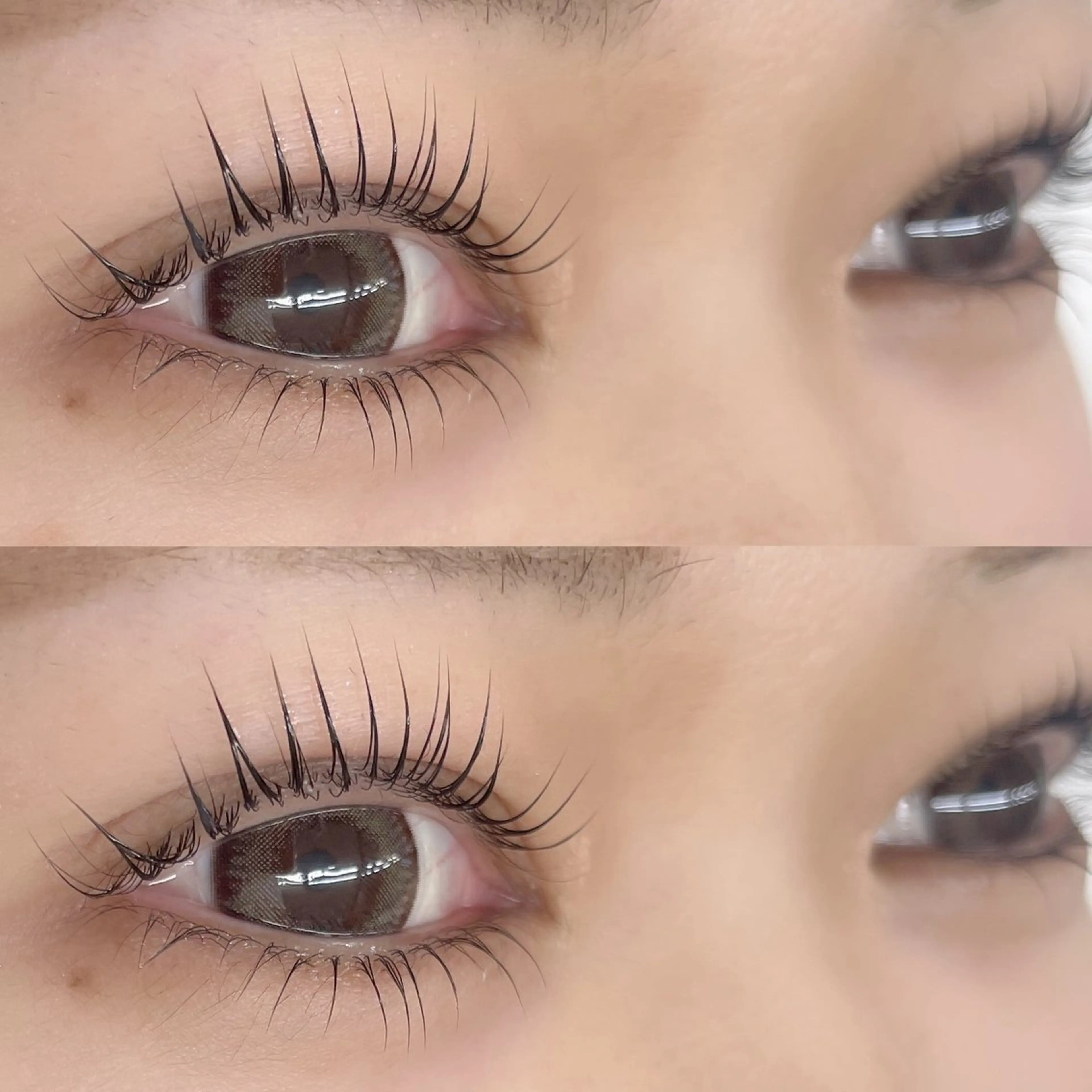 マツエク・マツパ 下まつげエクステ MOND💐 AYAKAのマツエク・マツパデザイン
