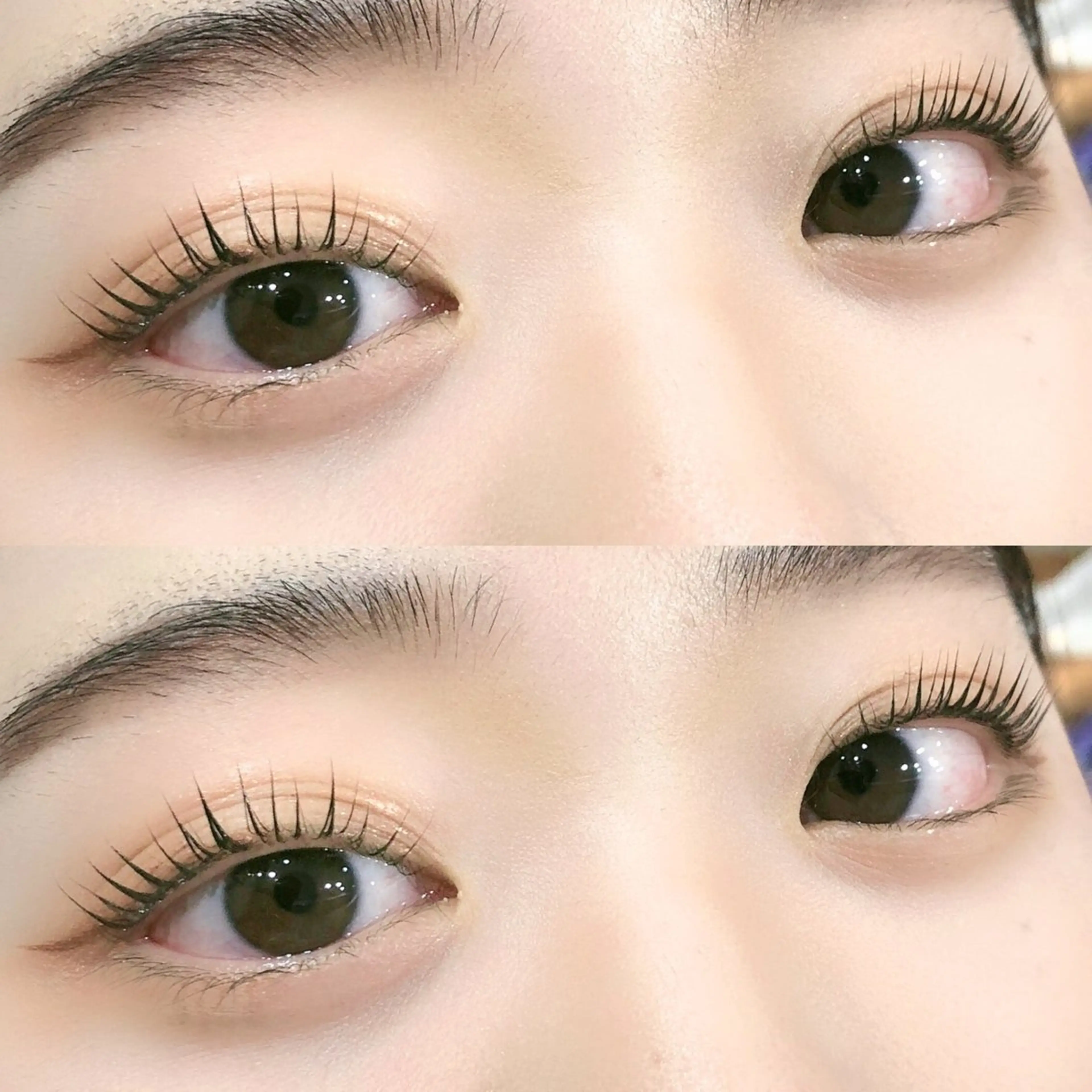 マツエク・マツパ OAKSTAFF (すぐ予約のみ)のマツエク・マツパデザイン