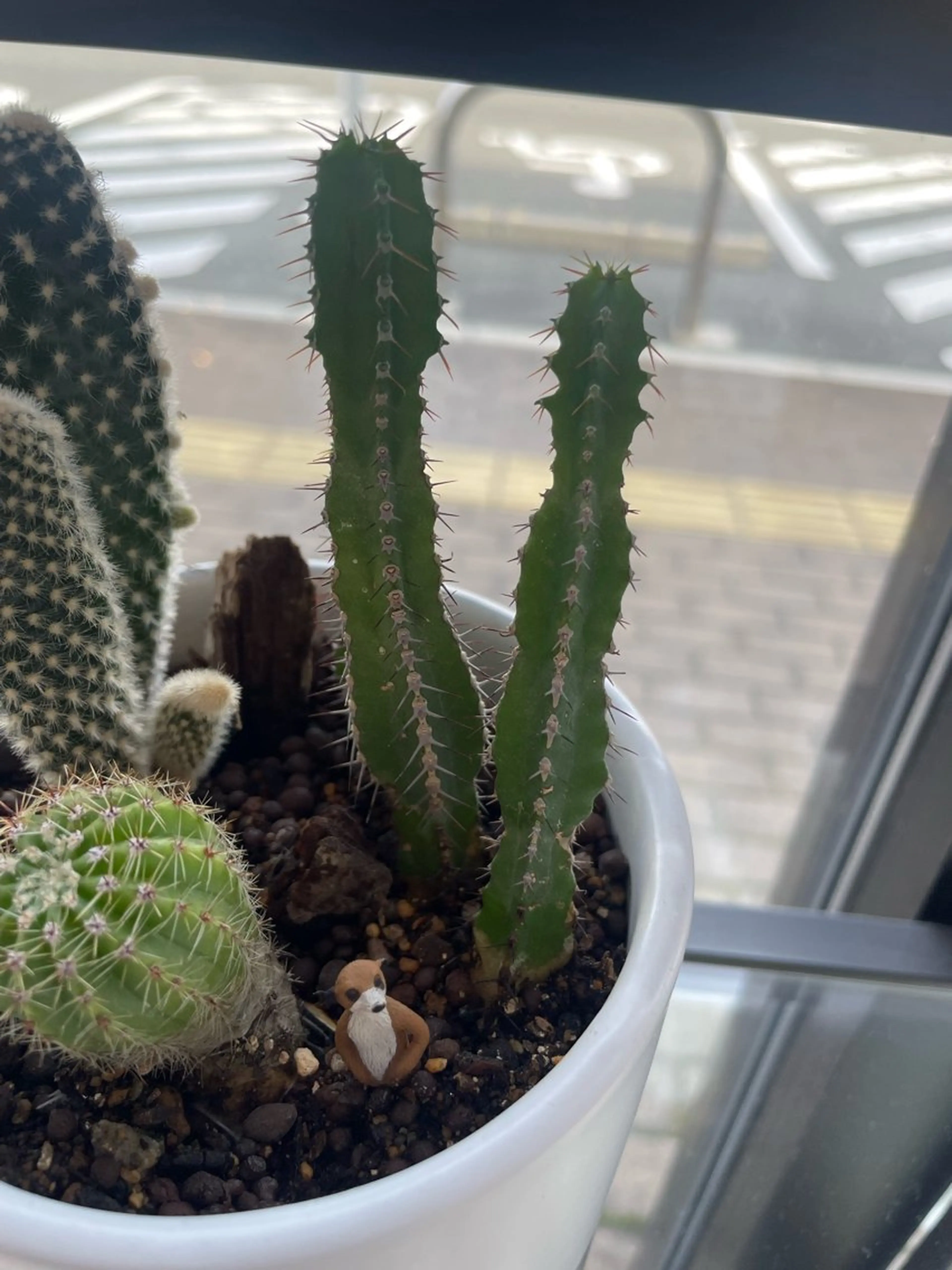 RITZ 髪質改善/ 清水のヘアスタイル