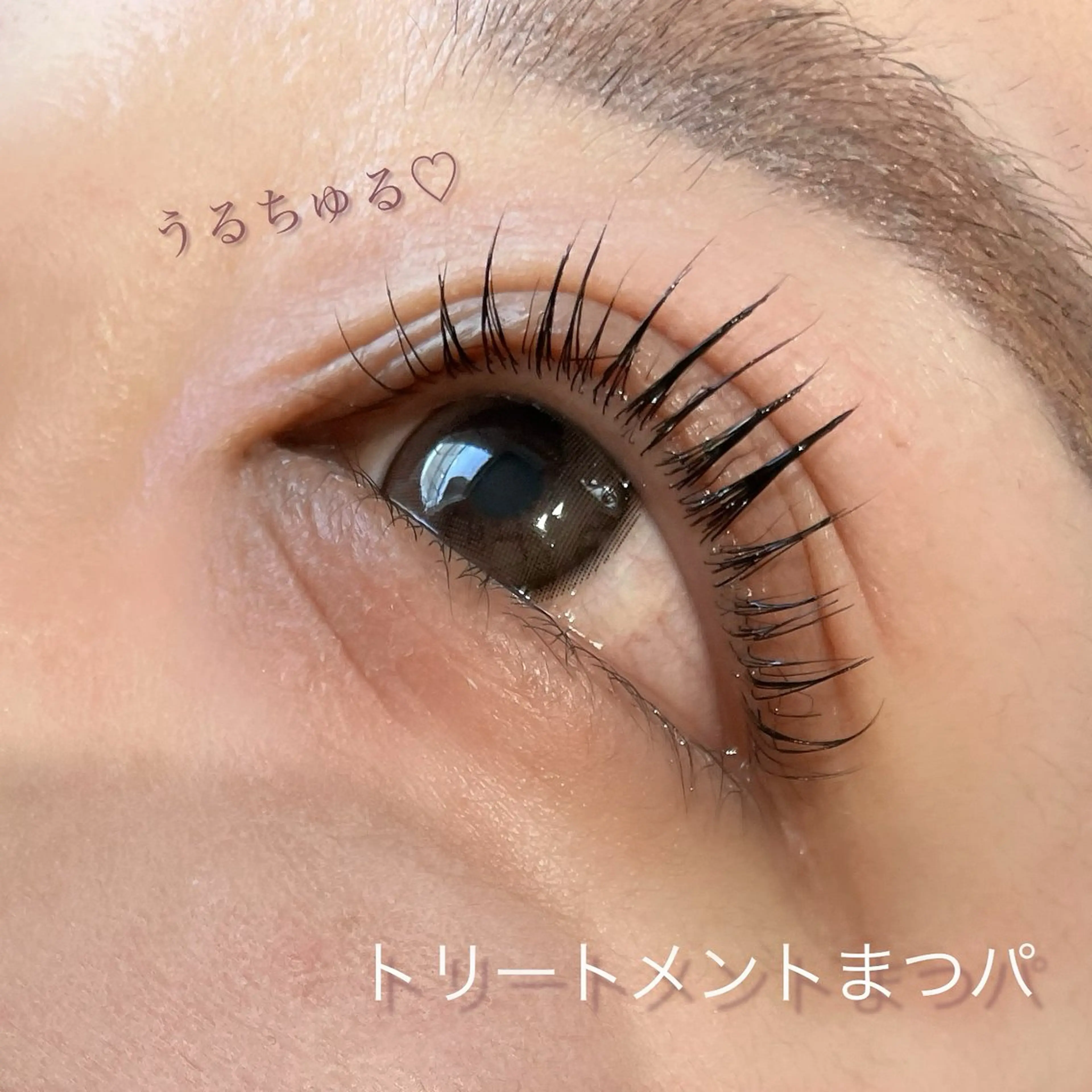 マツエク・マツパ まつげパーマ マツパ Koti sakai mayuのマツエク・マツパデザイン