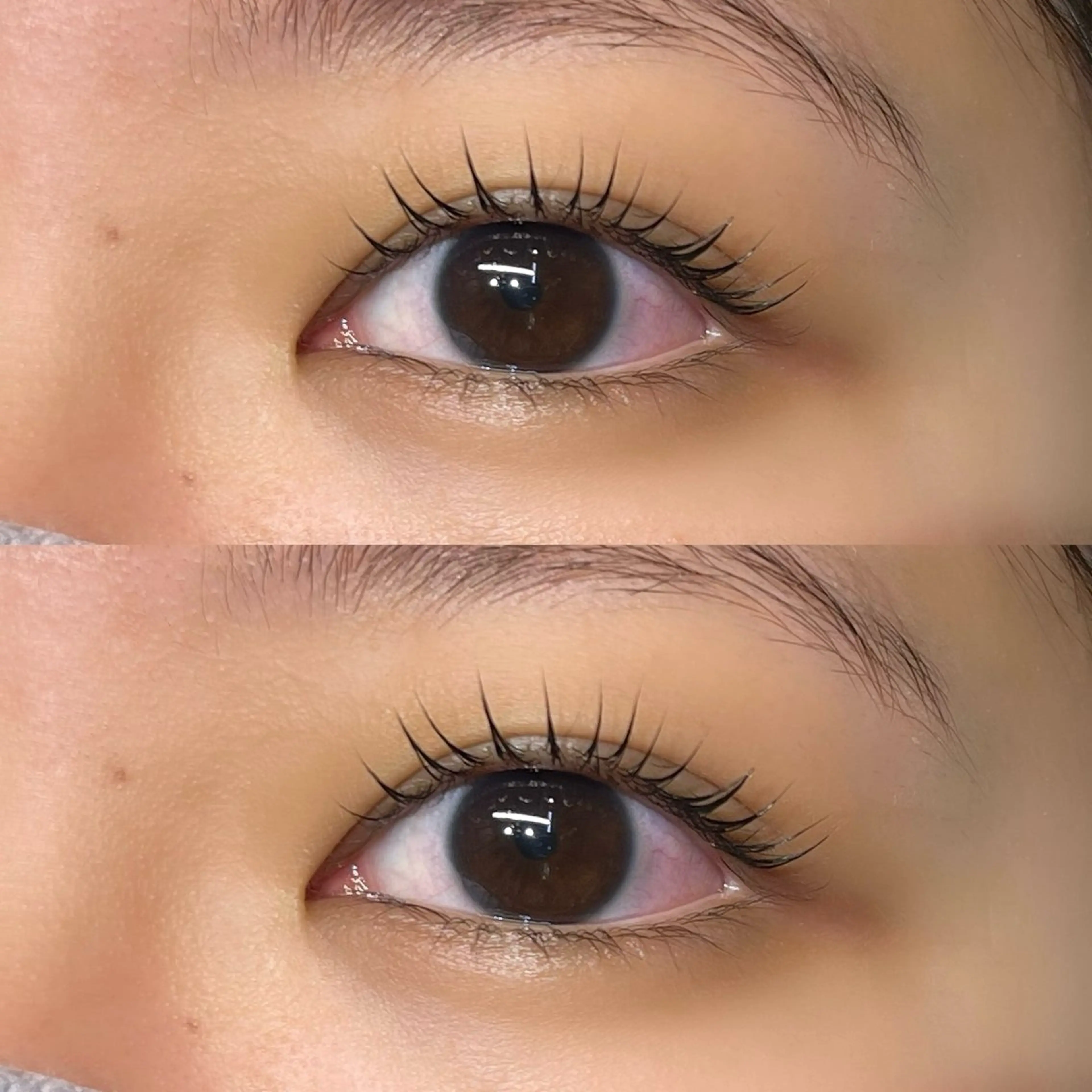 マツエク・マツパ マツパ Lupines🫧 MONEのマツエク・マツパデザイン