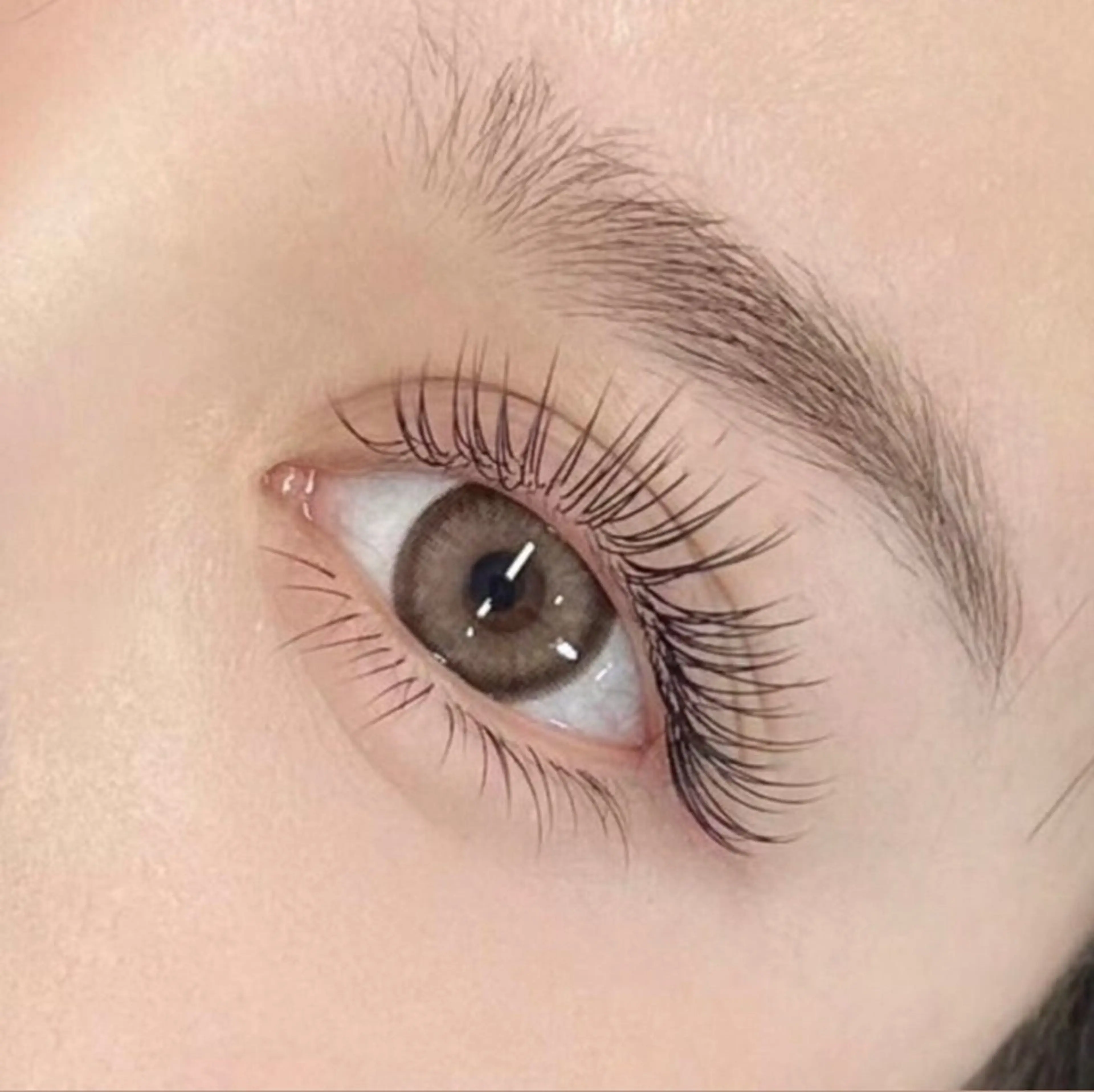 フラットラッシュ120(オフなし)の写真