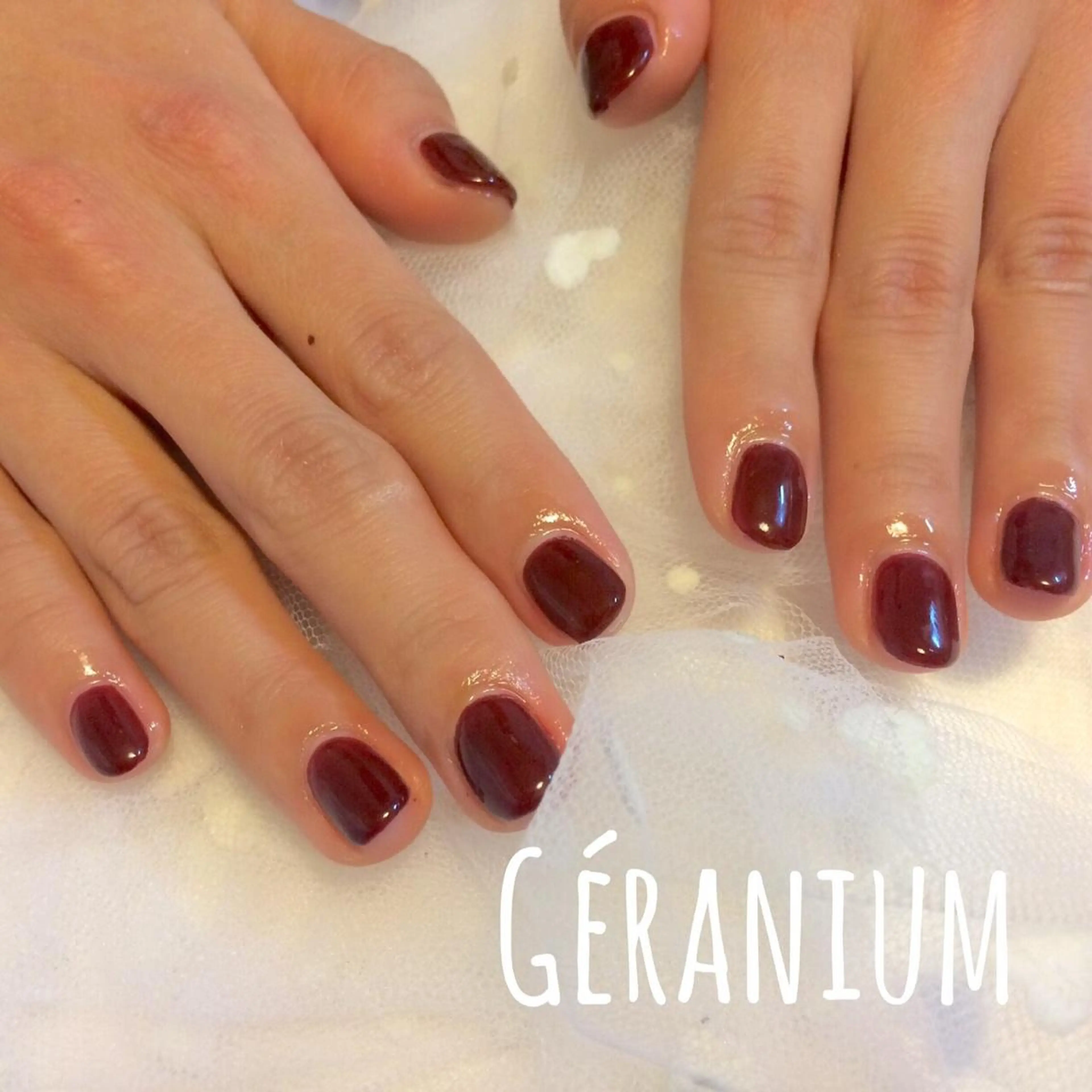 ネイル ボルドー ワンカラーネイル GéRanium Harukaのネイルデザイン