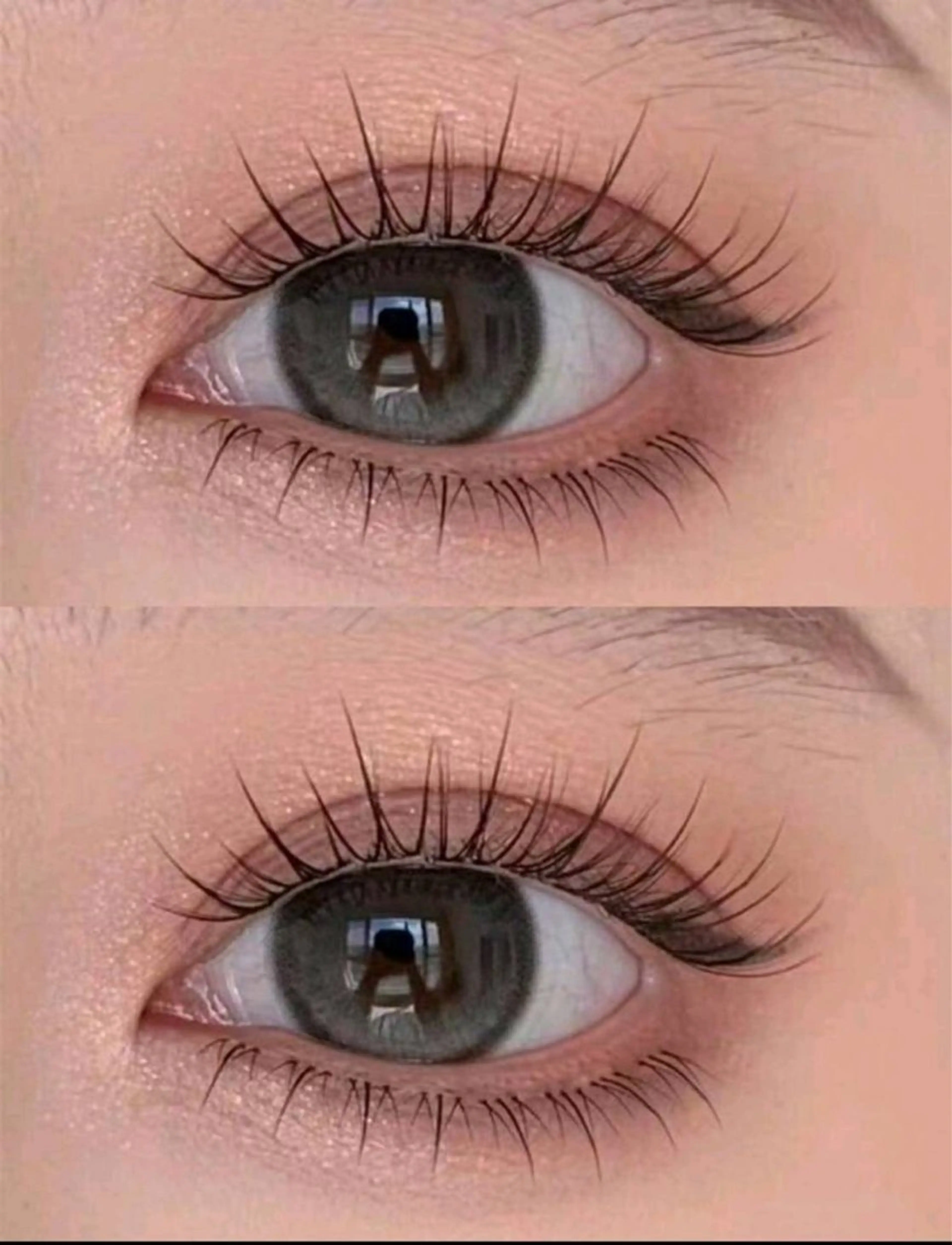 ❤️ワンホン🐶マツエク上下上120本下100本❤️の写真