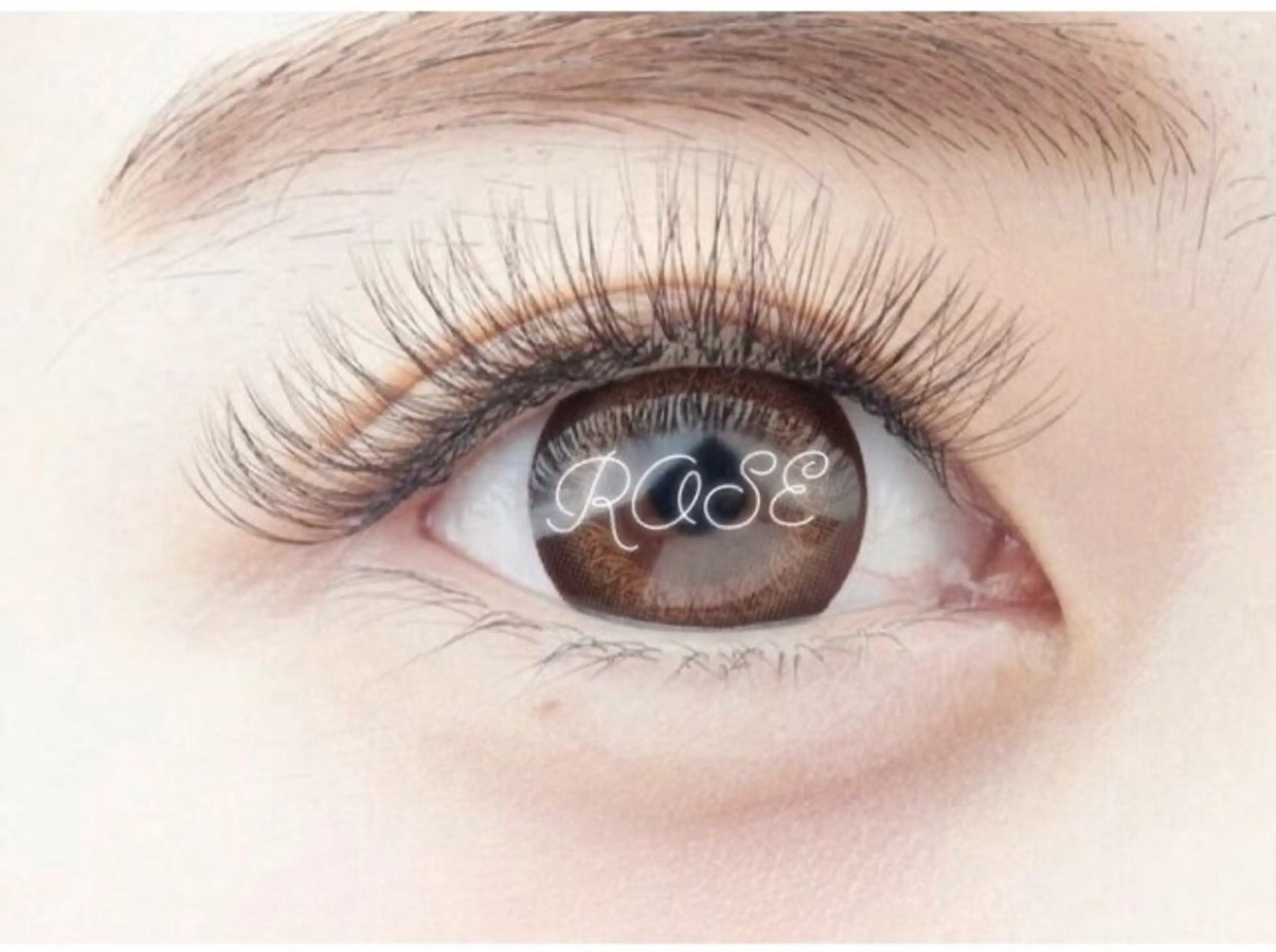 ボリュームラッシュ(フェザー)120束まで♡オフありの写真