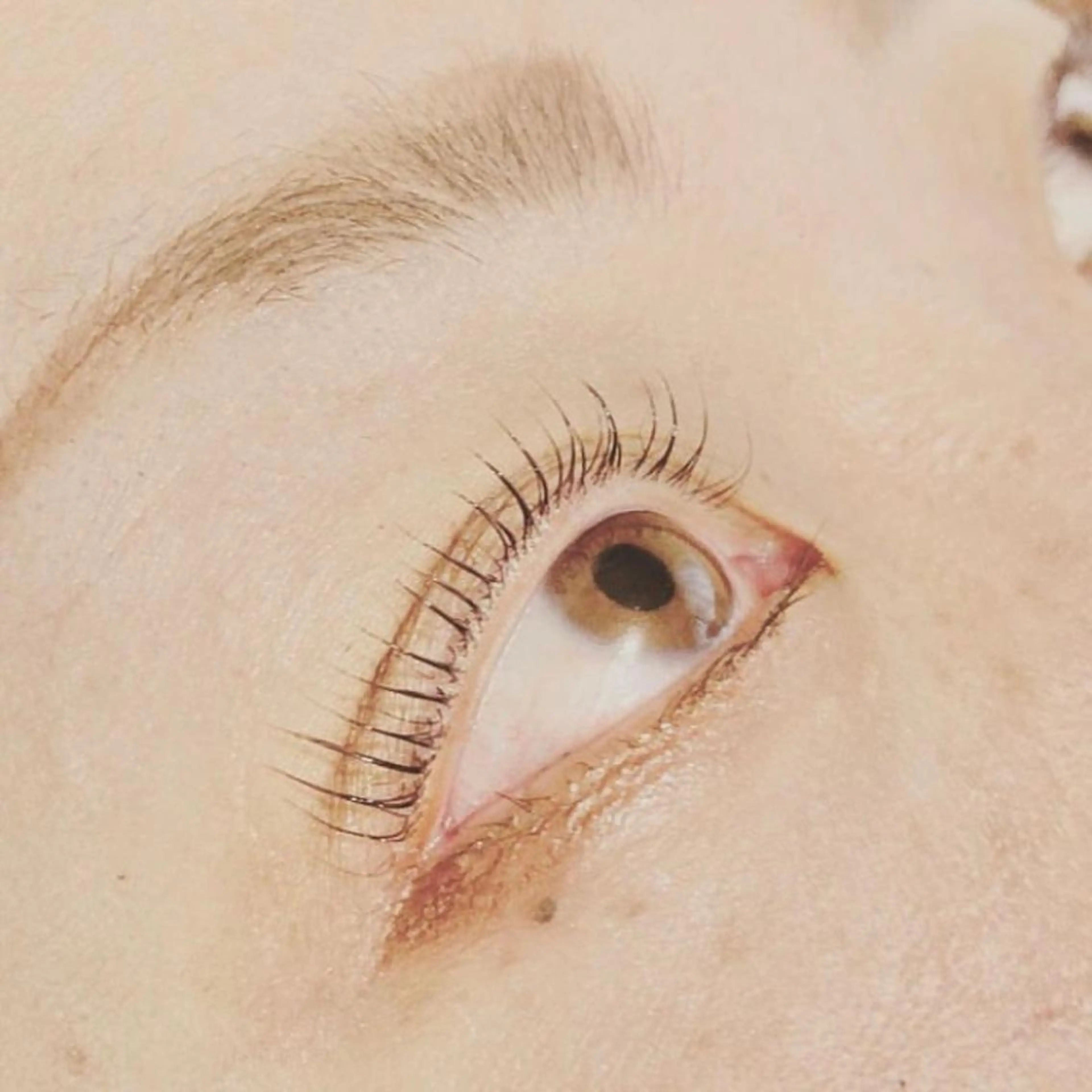 マツエク・マツパ マツパ BELLÉ TRINITYのエステ・リラクイメージ