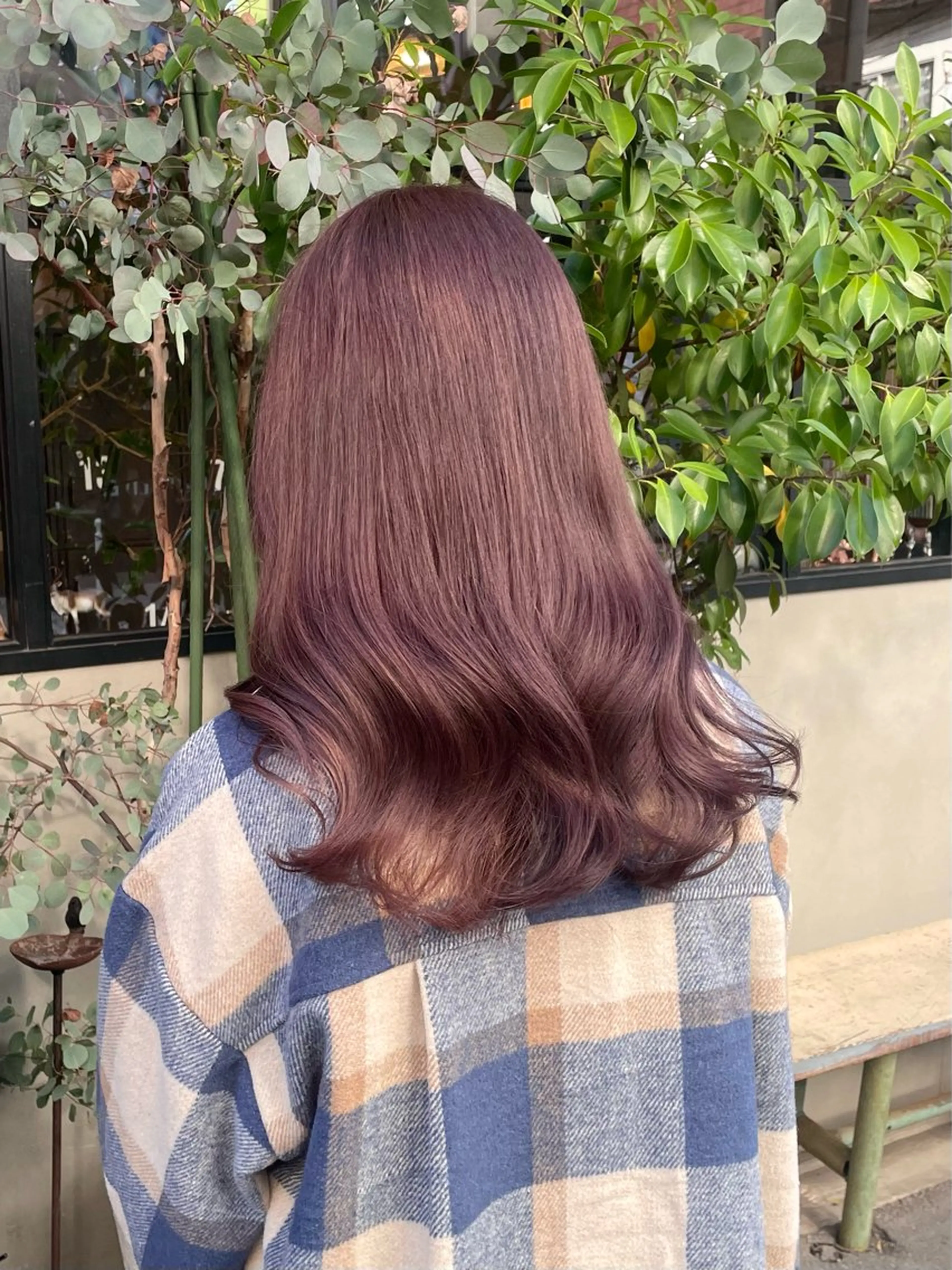 カラー バイオレットカラー ヘアカラー ヘアセット 竹内 春奈のヘアスタイル