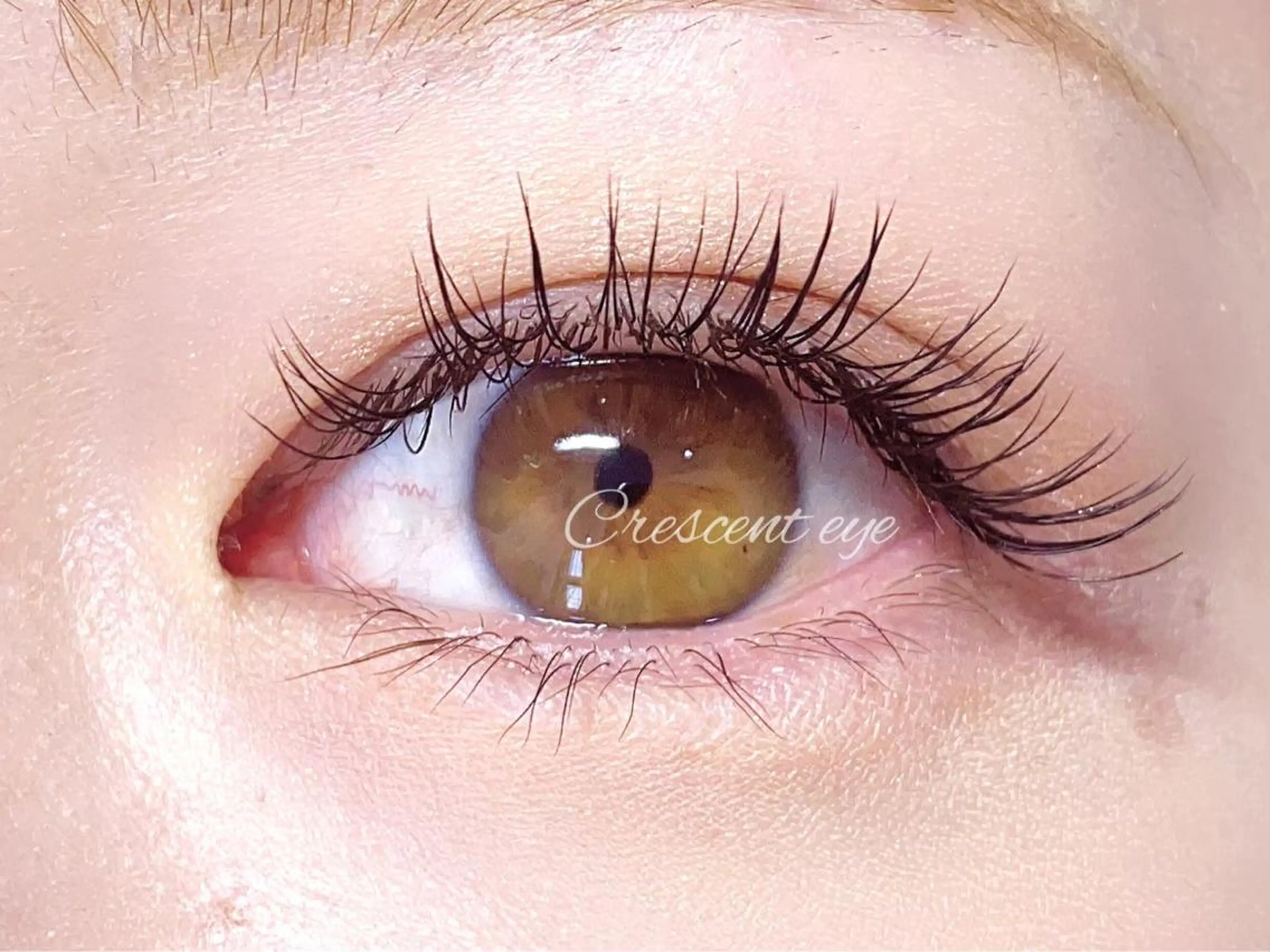 🌼全員【最高級レーザーセーブル1時間付け放題】約120本【フラットラッシュ+550円】の写真