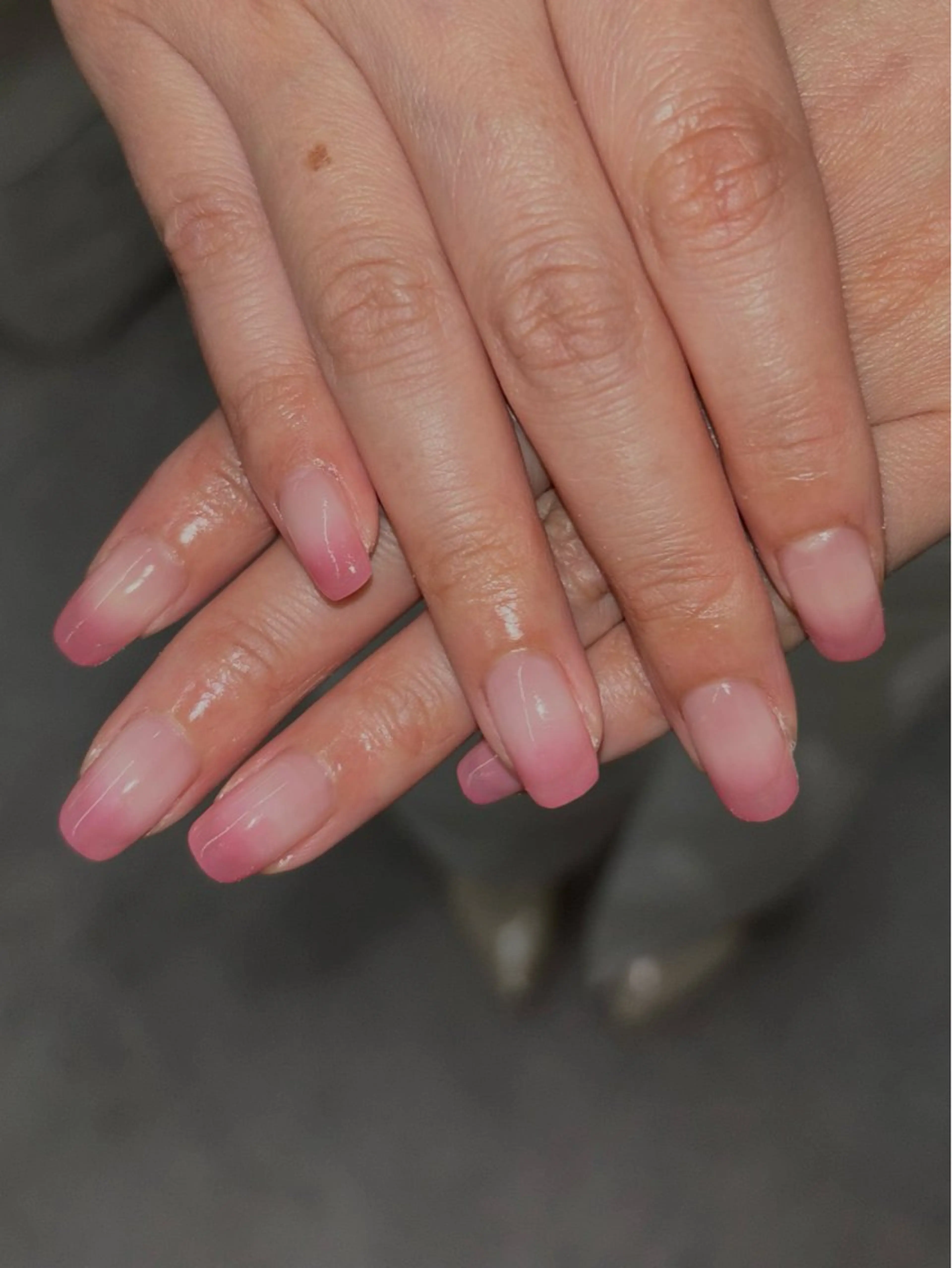 color gradation🌺の写真