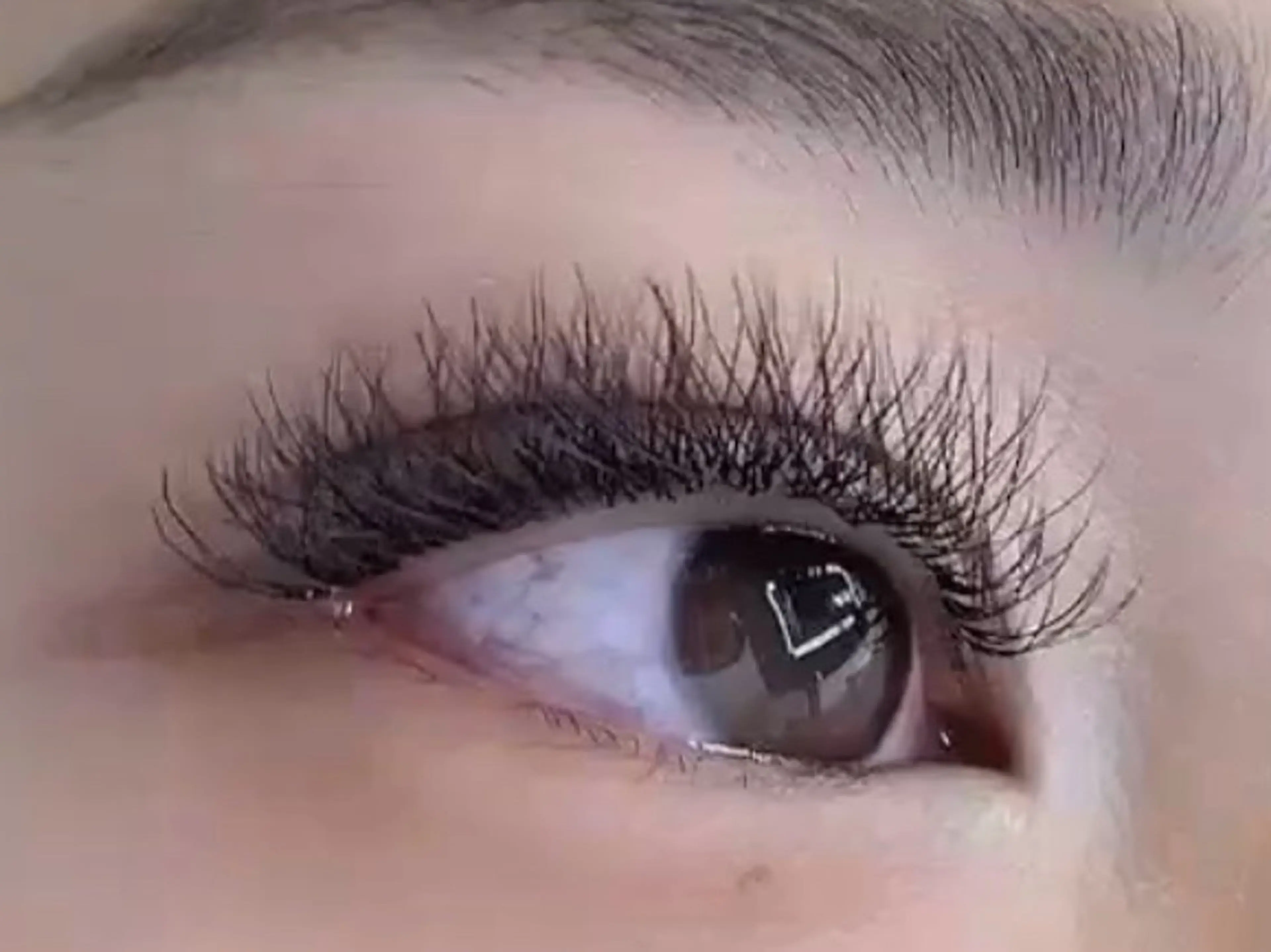 マツエク・マツパ 付け放題 バインドロック 束感まつ毛 カラーマツエク フラットラッシュ マツエク M salon アイラッシュのマツエク・マツパデザイン