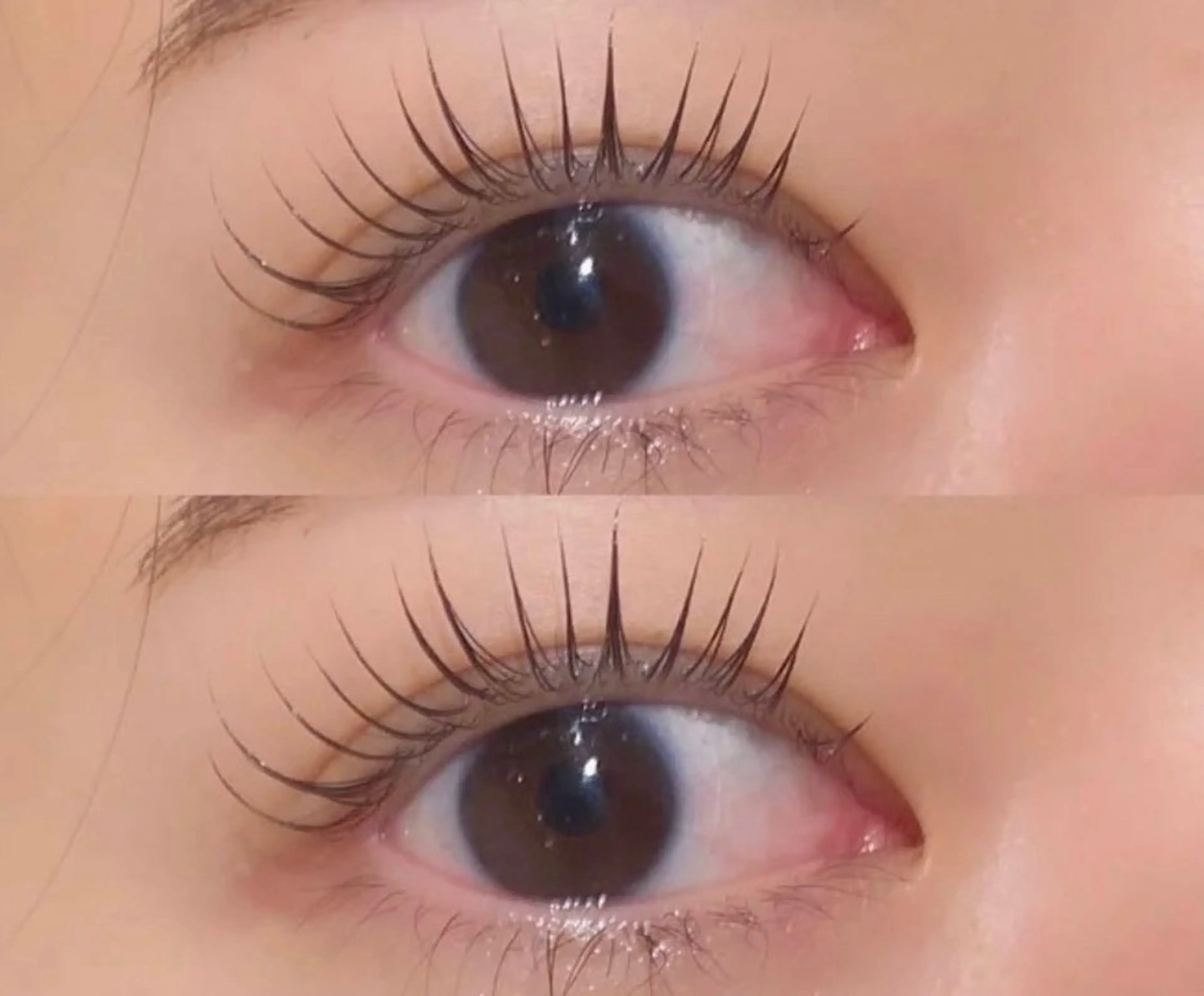 次世代まつげ パーマ🧚‍♂️パリジェンヌラッシュリフト（上まつ毛）➕ コーティングの写真