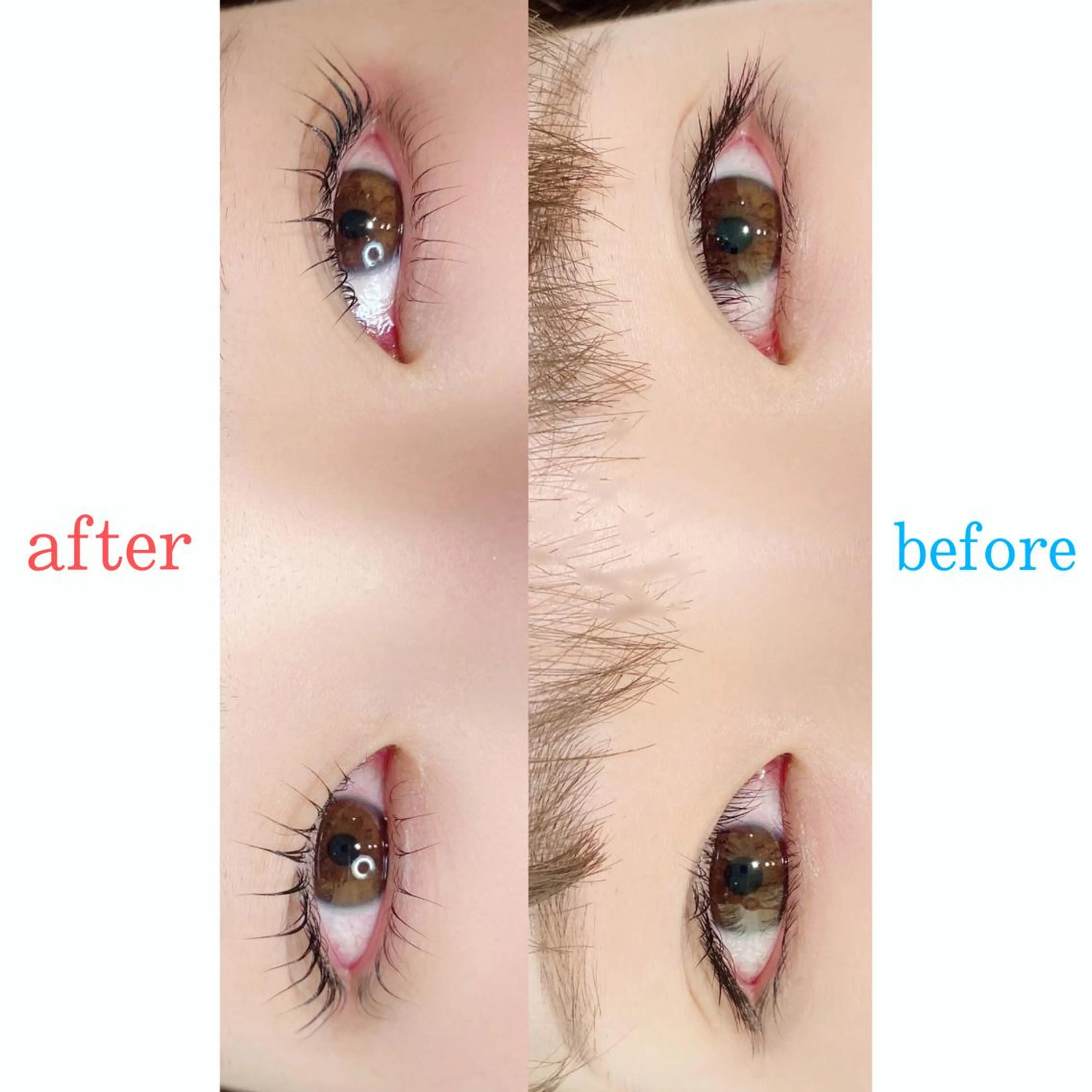 マツエク・マツパ まつげパーマ 下まつげエクステ batik湘南台店所属・batik 湘南台店 reinaのマツエク・マツパデザイン