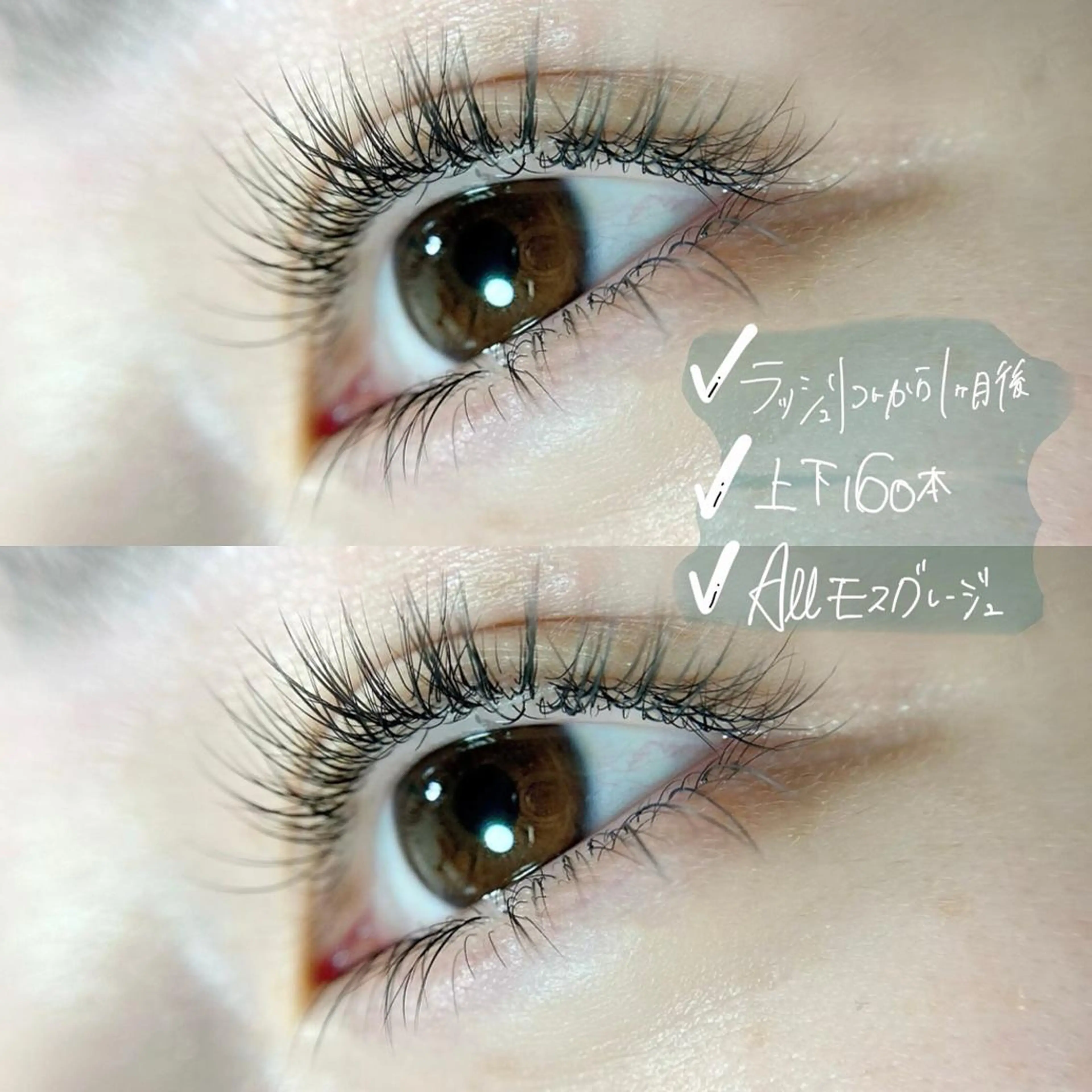 マツエク・マツパ マツエク Ohata Megumiの眉毛・アイブロウイメージ