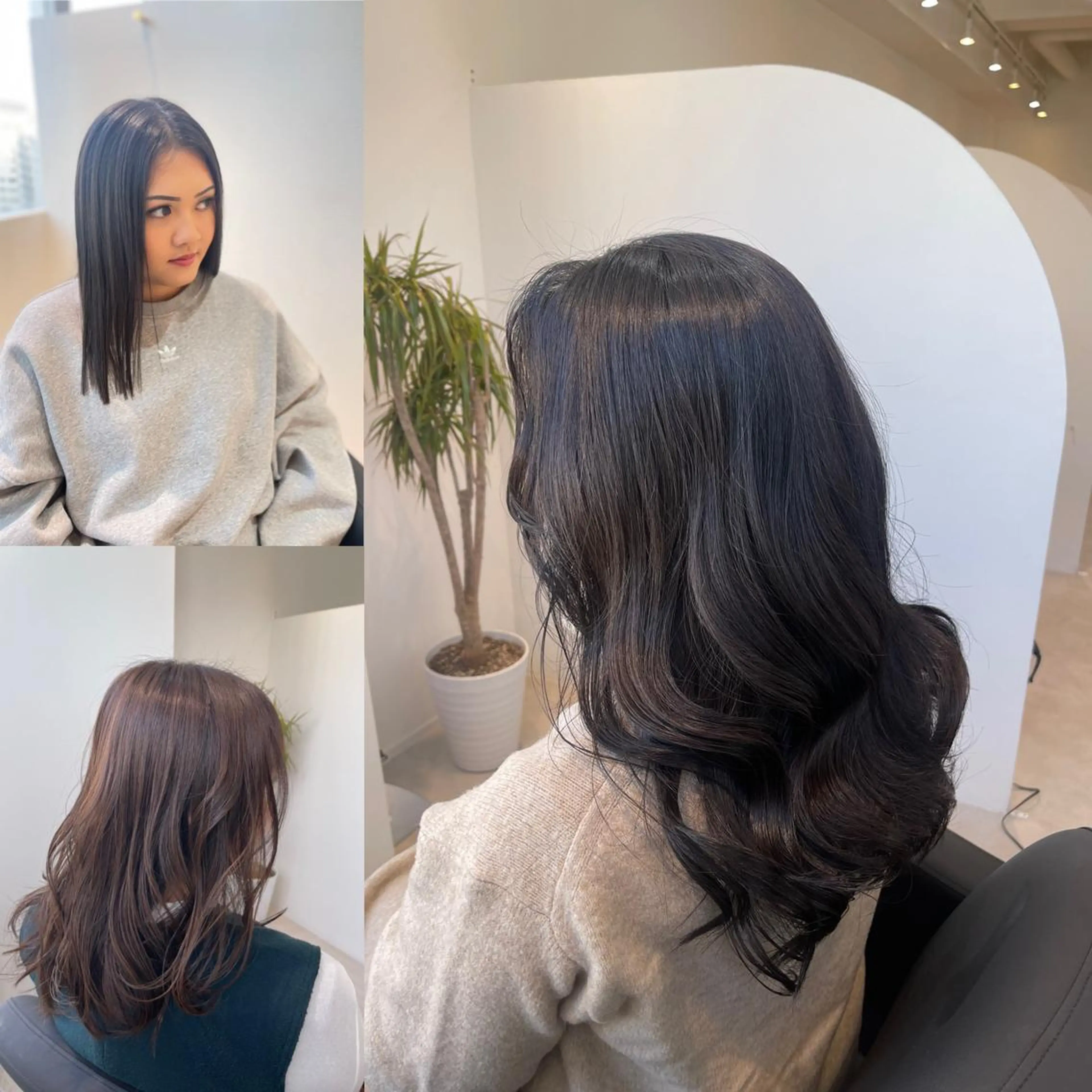 韓国で人気🇰🇷高保湿コモレビトリートメント+艶カラーカット💖💖の写真