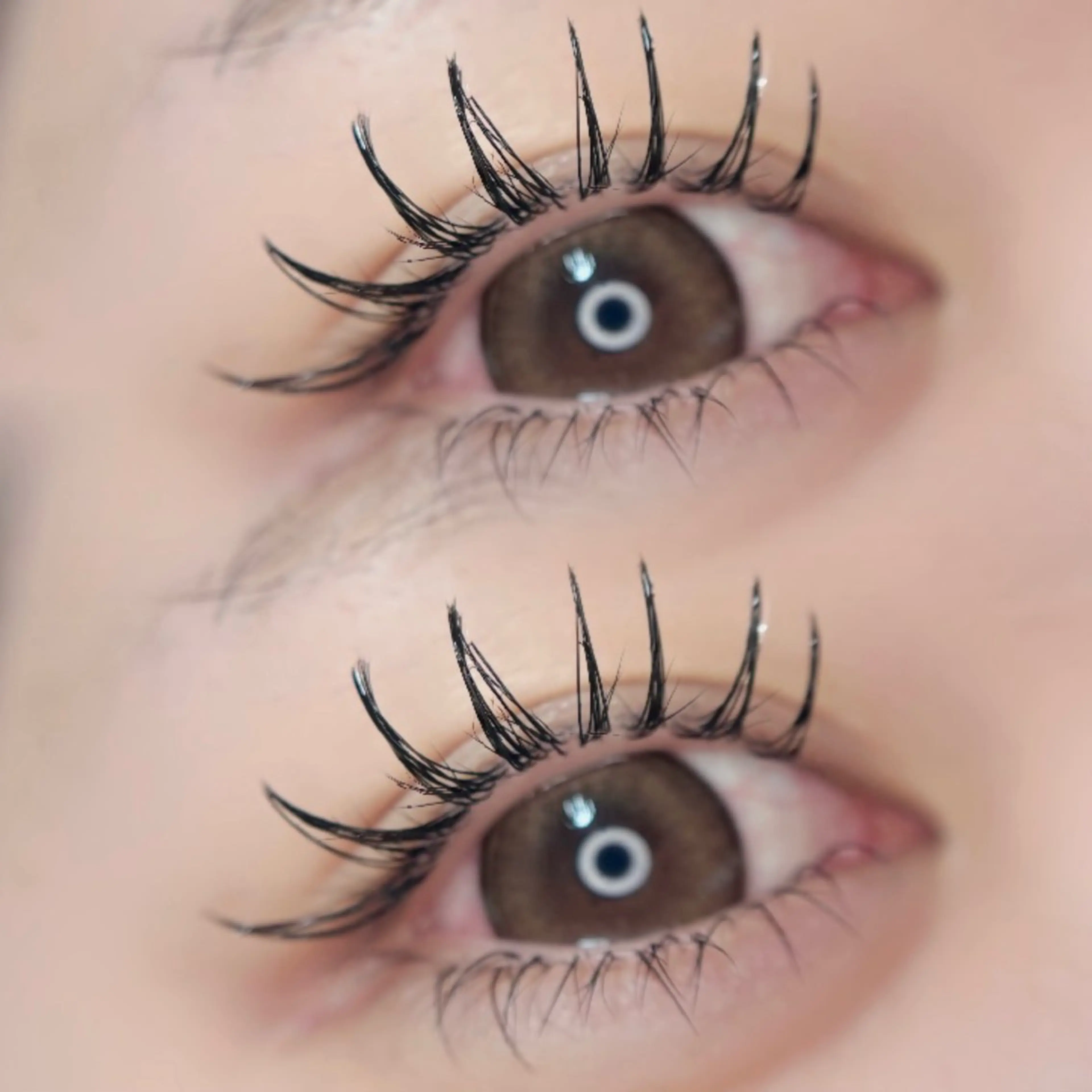 マツエク・マツパ フラットラッシュ 🦋MaaZlash 南流山FUKA🤍のマツエク・マツパデザイン