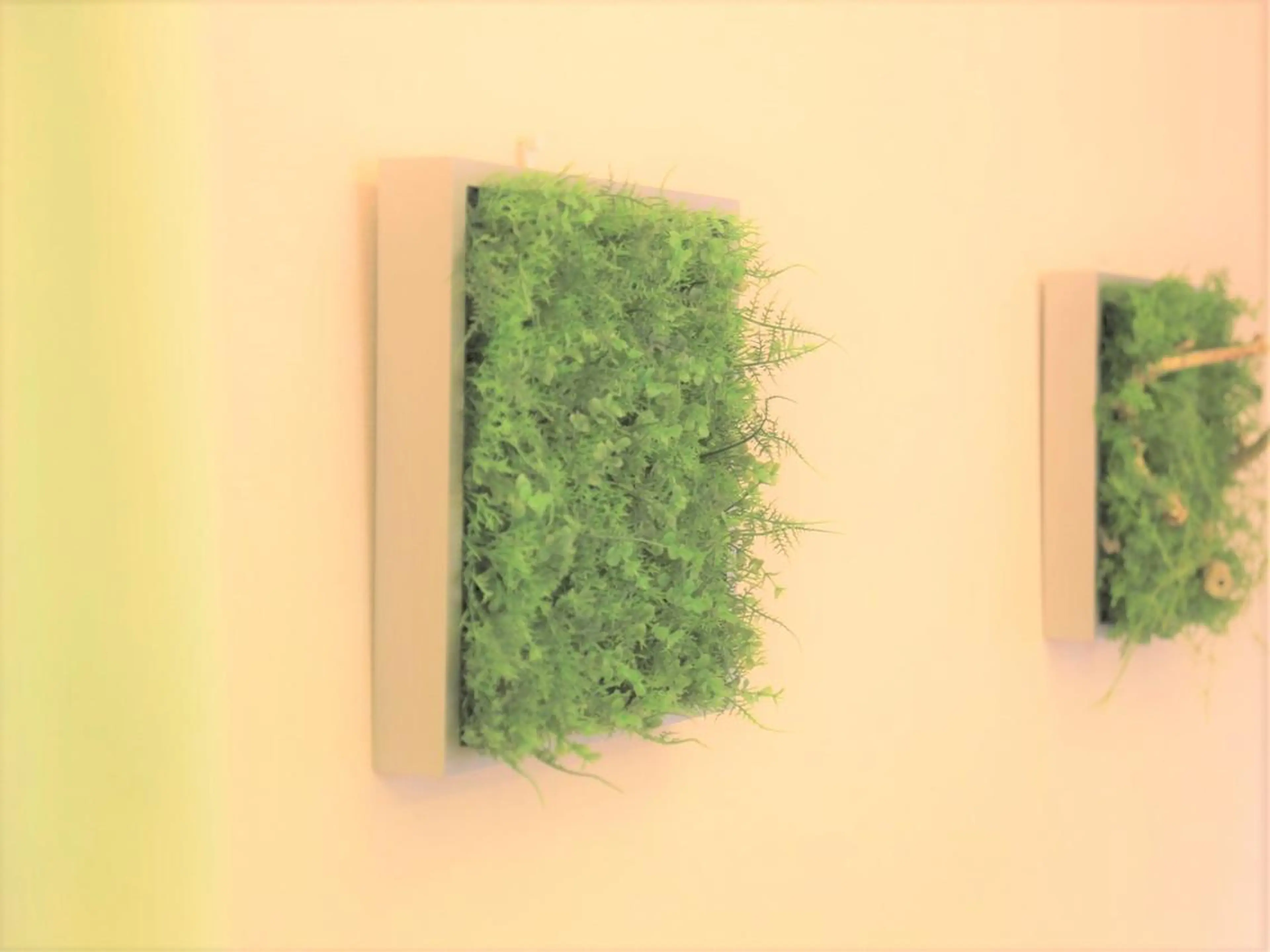 リラク 町田バランス 整体院のエステ・リラクイメージ