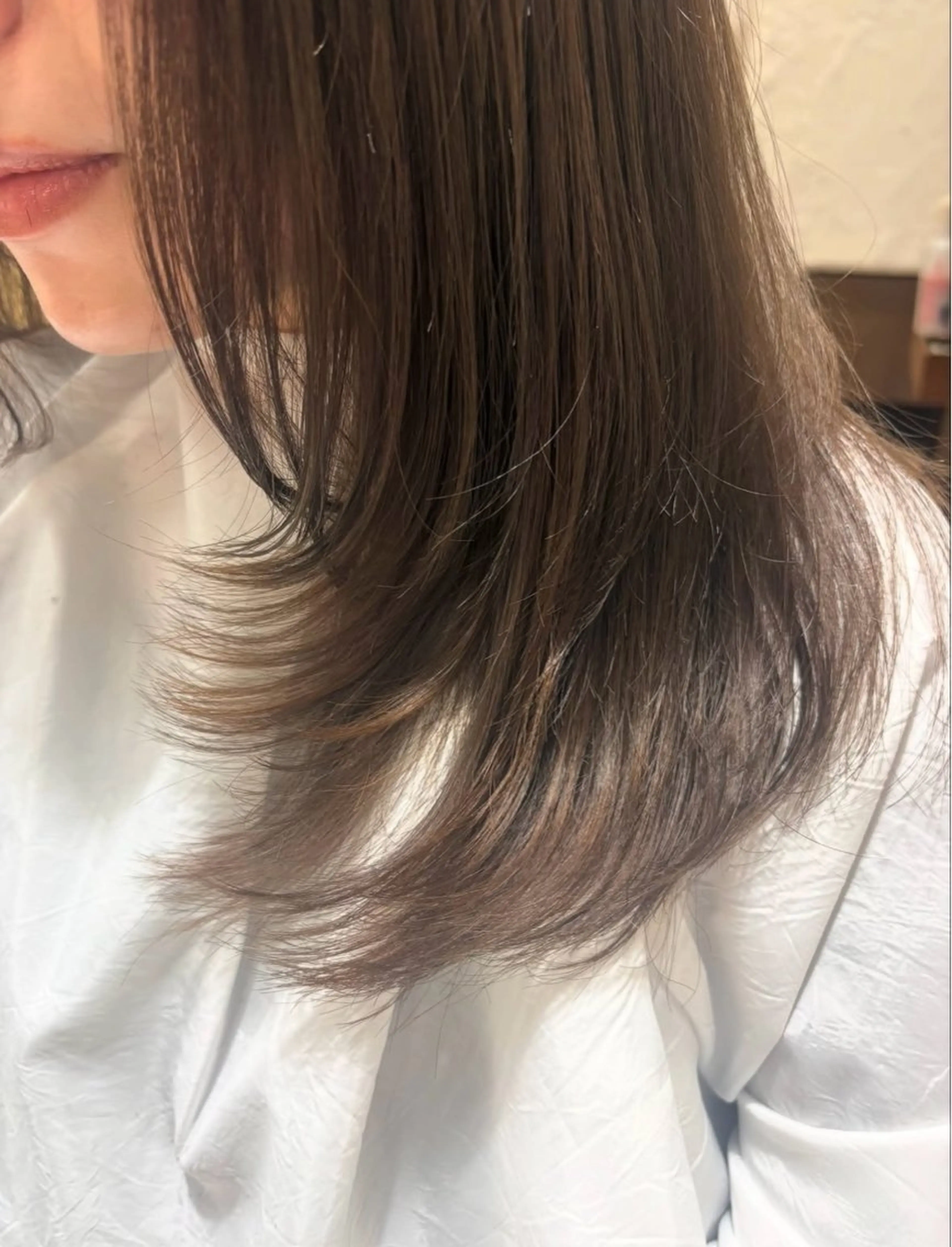 カットモデルの写真