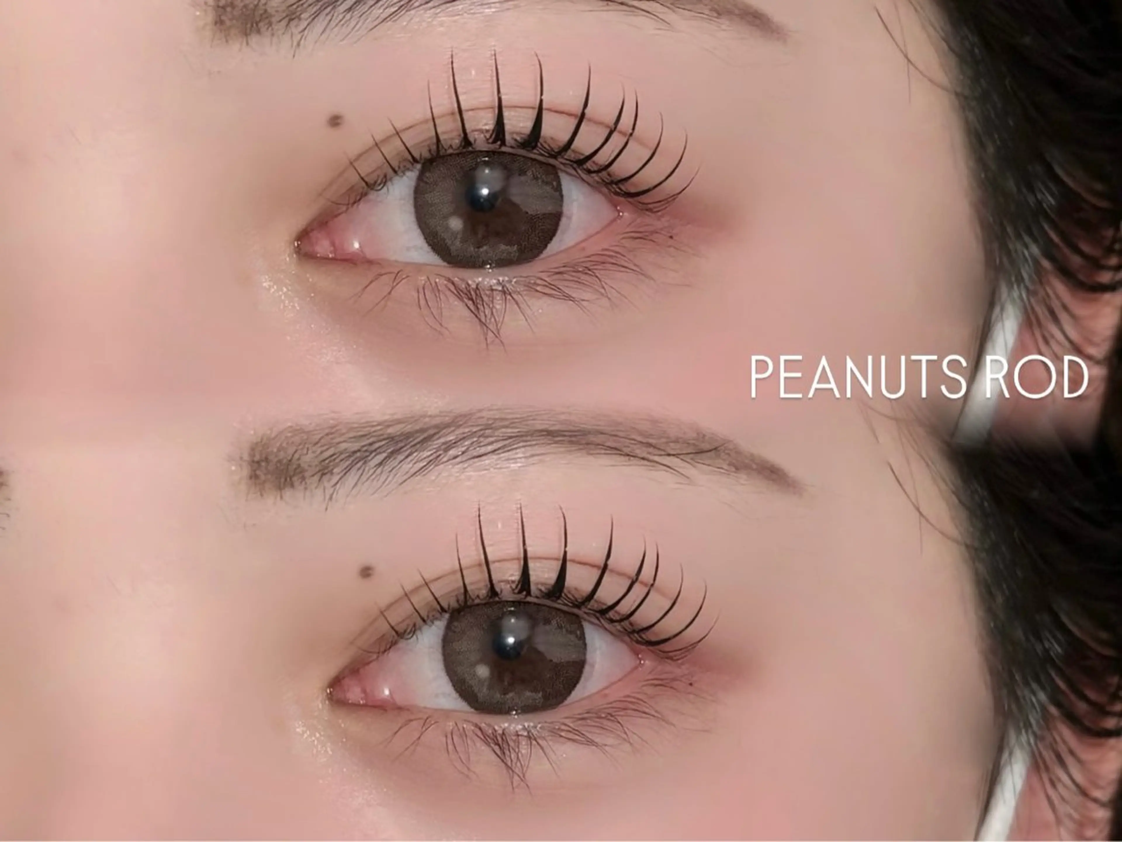 【💖28日限定💖】選べるまつ毛パーマ➕アイシャンプー➕コーティングお仕上げ🪞✨の写真