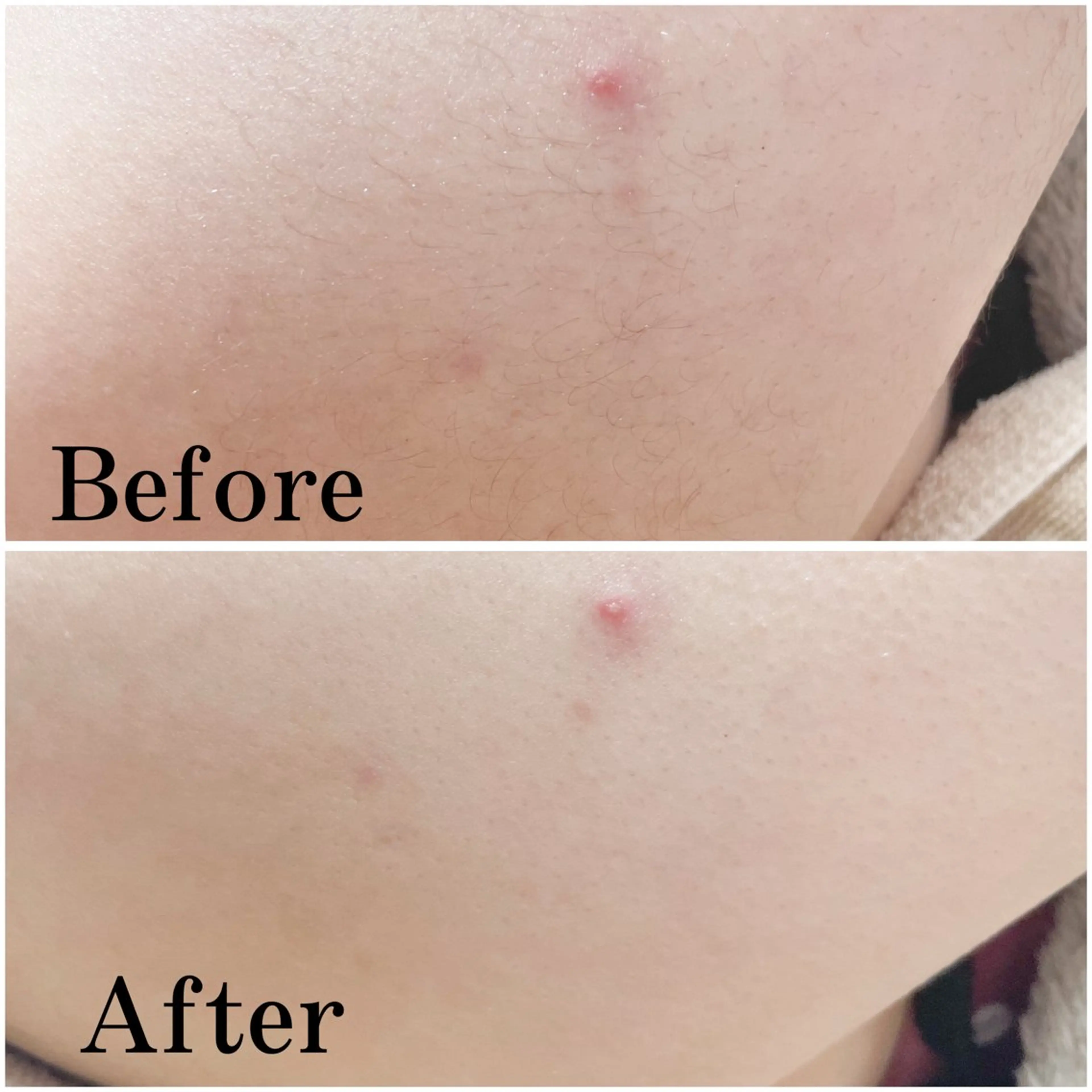 戸田 麗のその他イメージ