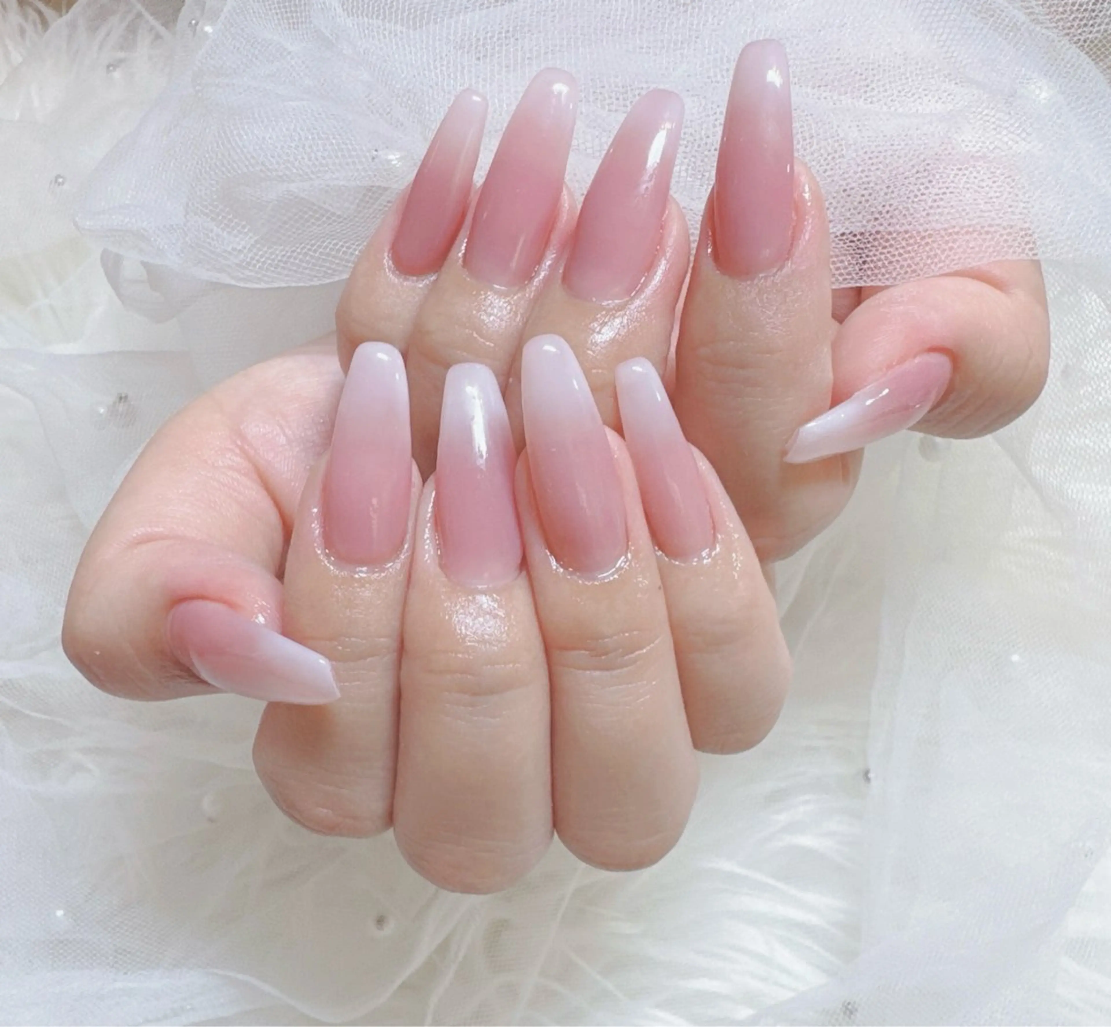 ベイビープーマの写真