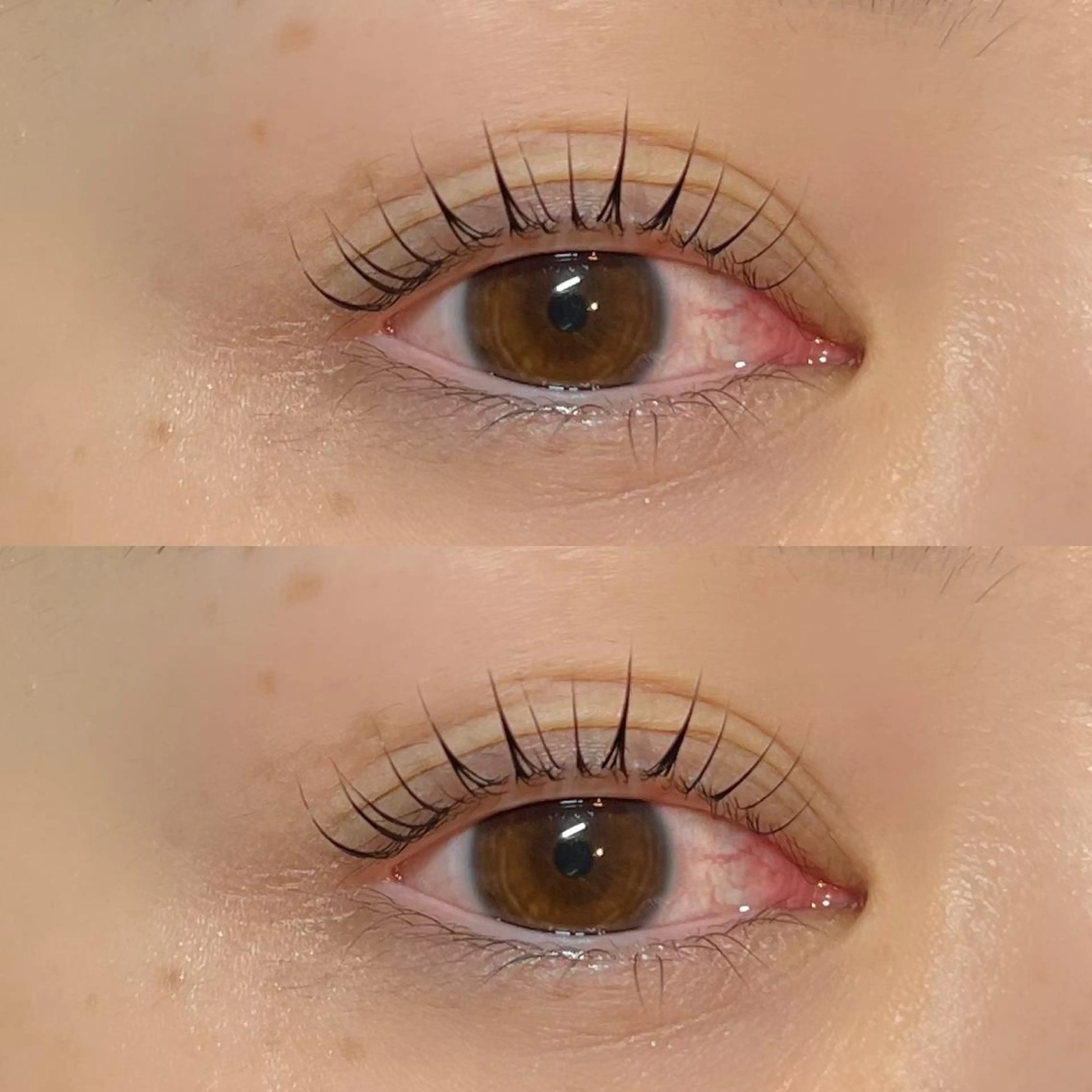 マツエク・マツパ Milobyking 🍒rihoの眉毛・アイブロウイメージ