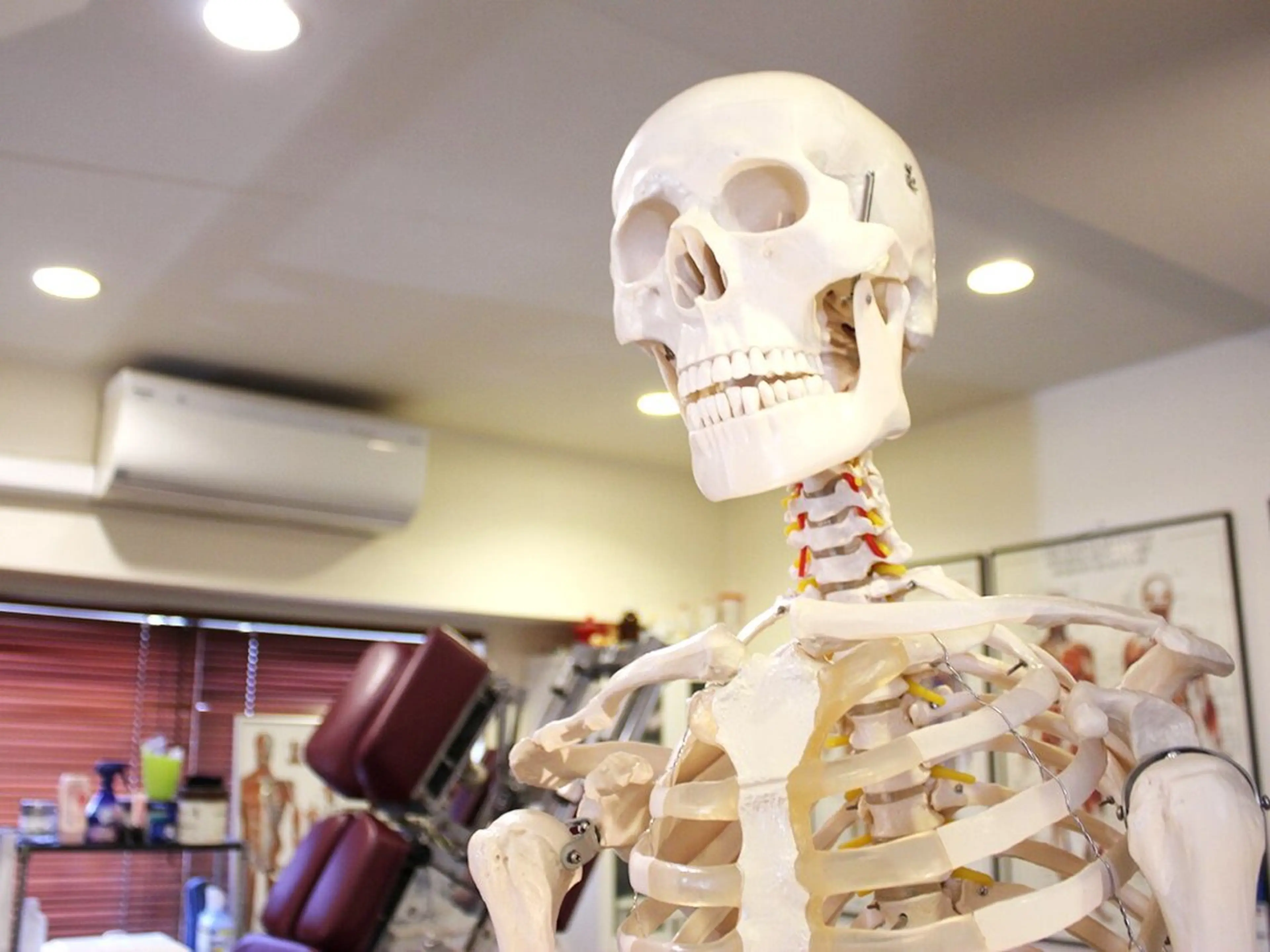 ピュアプロポーション美容整体カイロ院所属・🟢美姿勢/肩こり/ 腰痛/整体師水野🟢のエステ・リラクイメージ