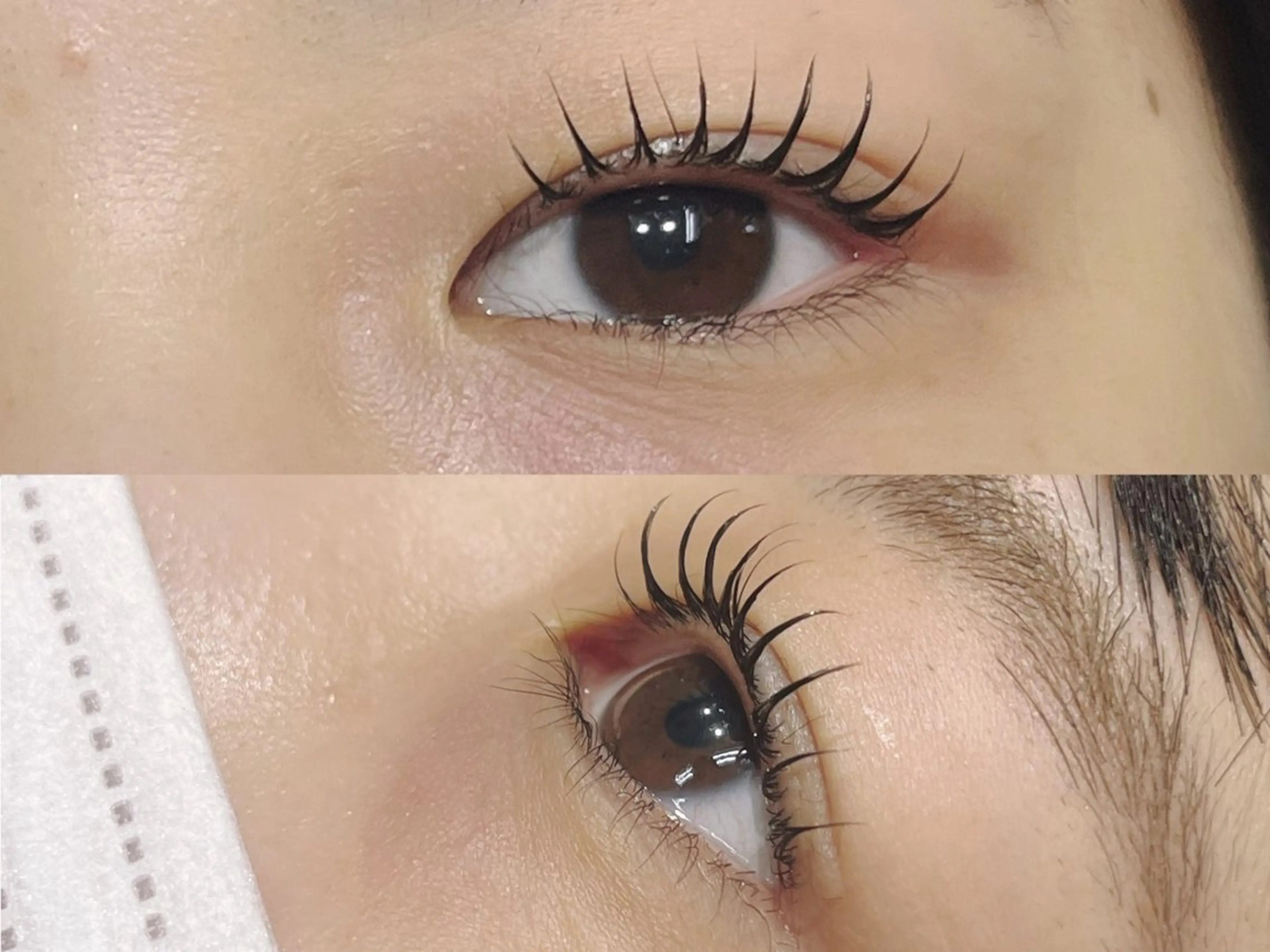 マツエク・マツパ Lupines🐱 SHIHORIのマツエク・マツパデザイン