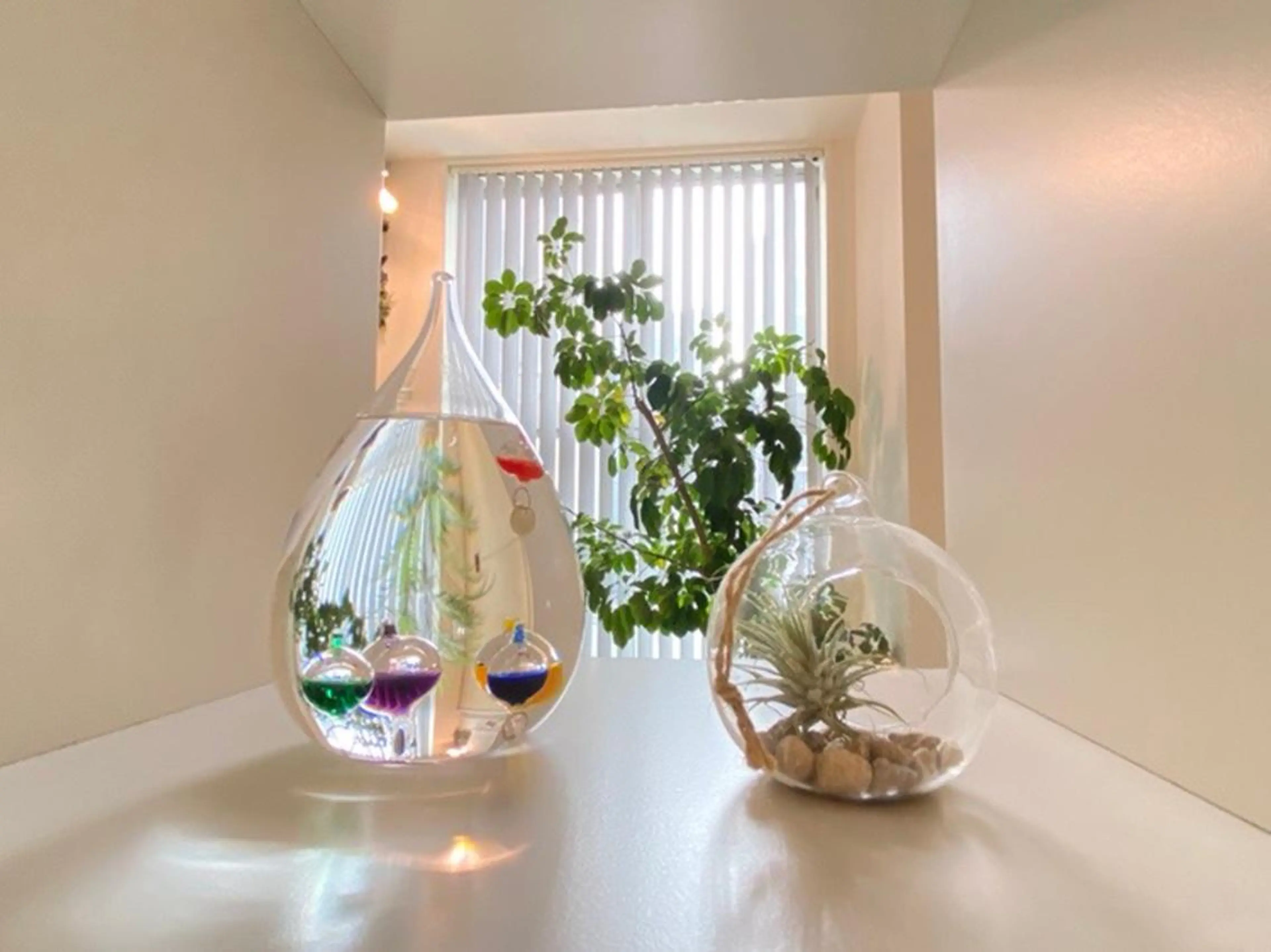 Relaxation 【YuRu】のエステ・リラクイメージ