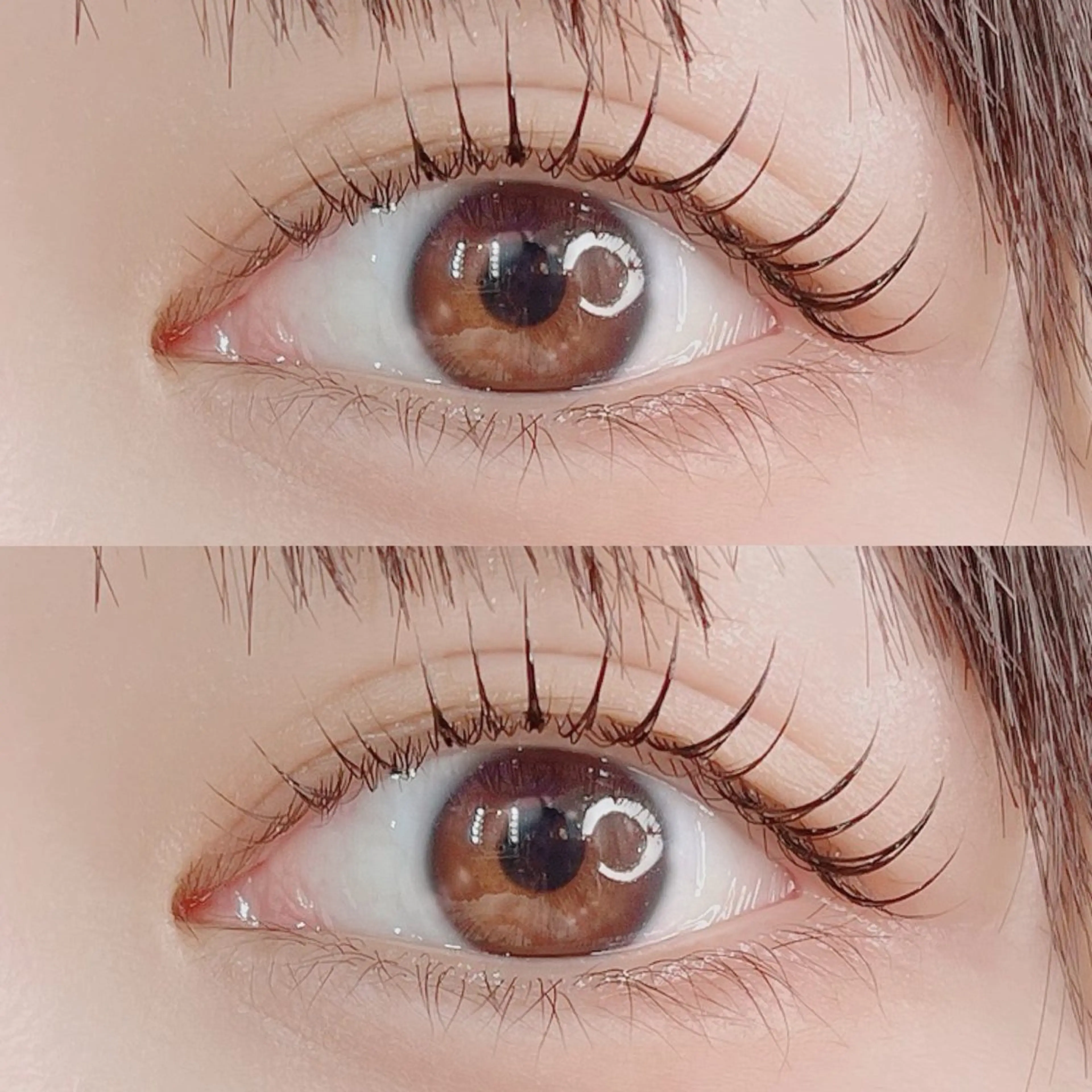 minimo限定価格❣️【まつ毛パーマ💜上むきまつげで気分もUP🥰】アイシャンプー&美容液コーディング付き✨の写真