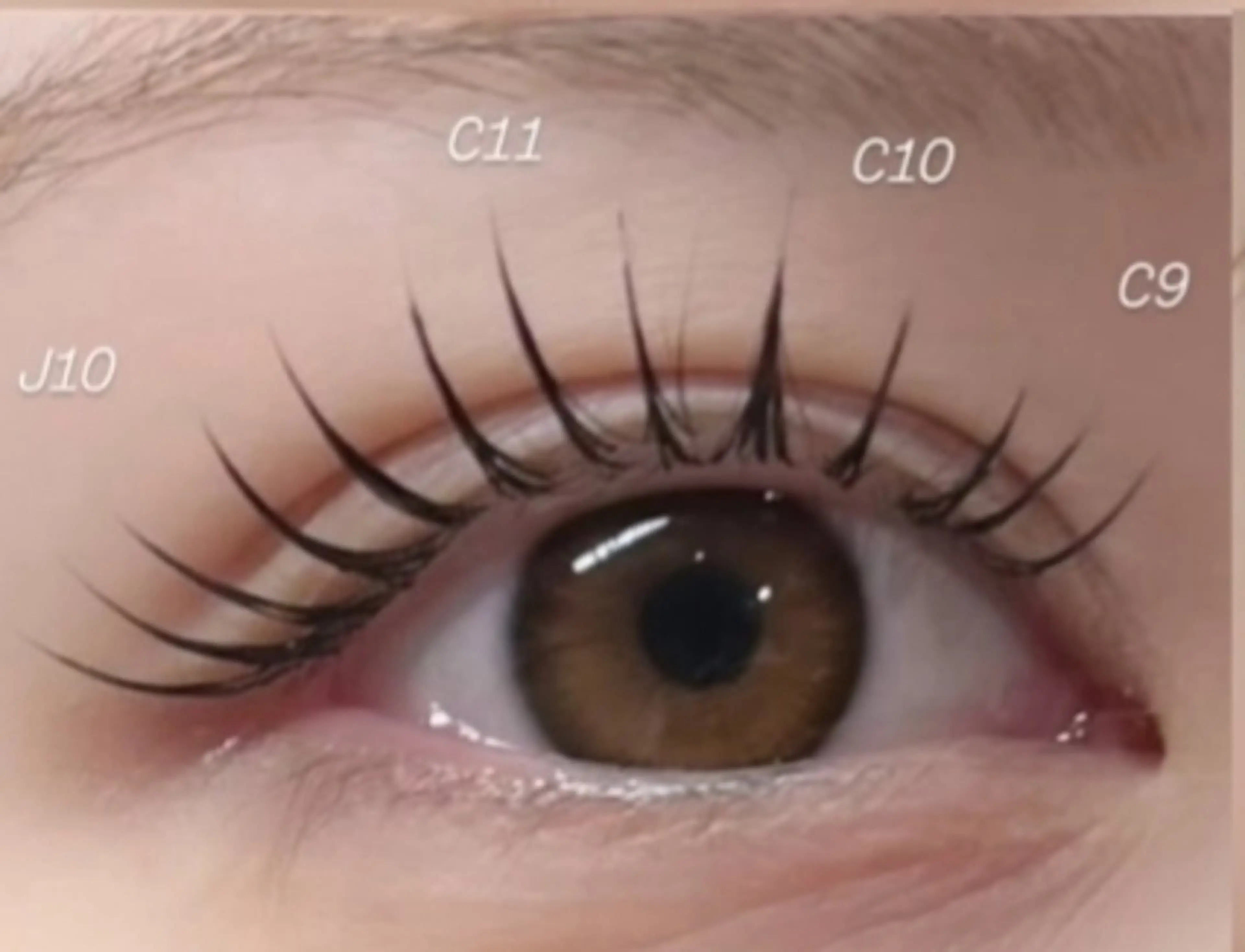 マツエク・マツパ SUN WENのマツエク・マツパデザイン