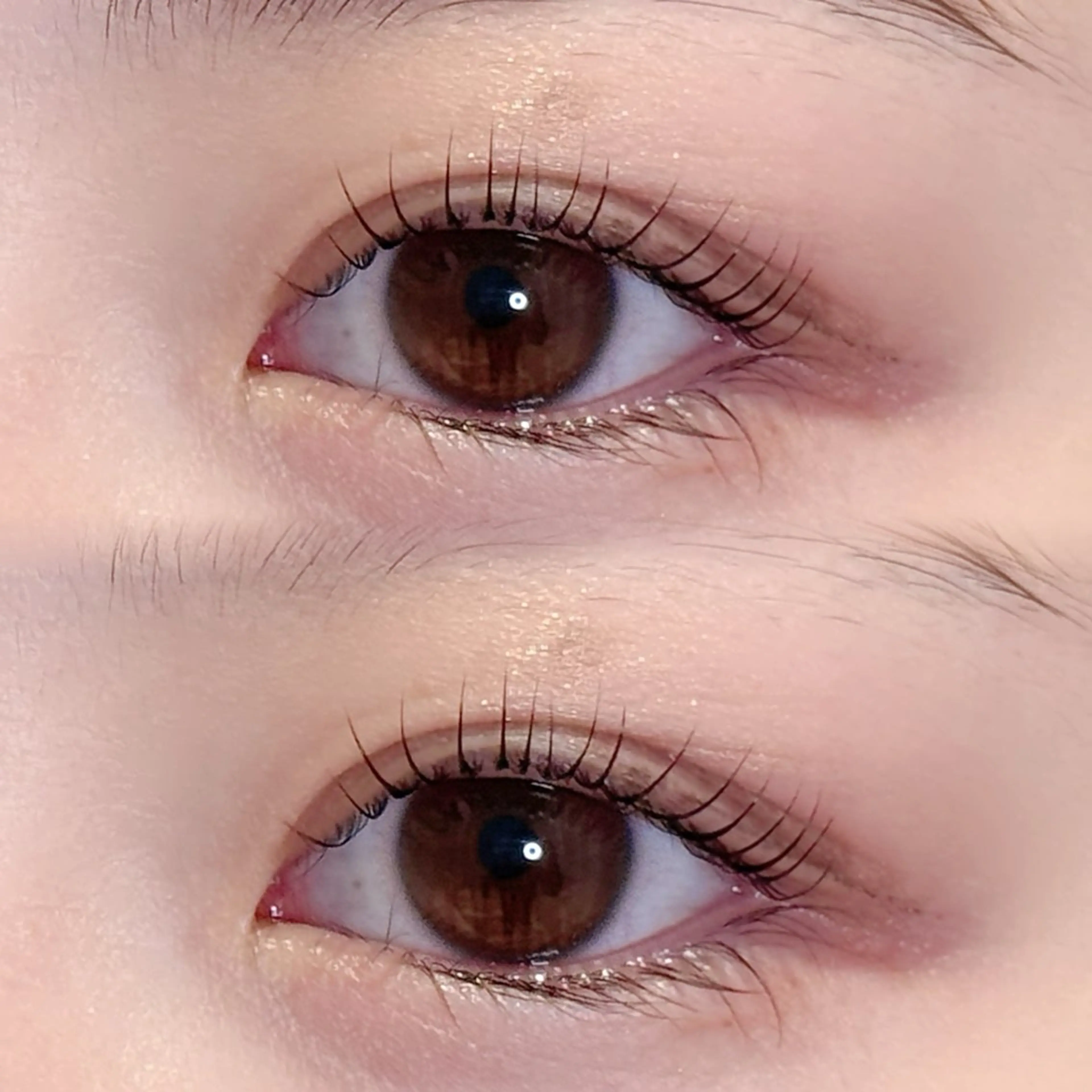 マツエク・マツパ Moana　eyelash by HEADLIGHT 武蔵小杉店所属・momoka .⋆𝜗𝜚の眉毛・アイブロウイメージ