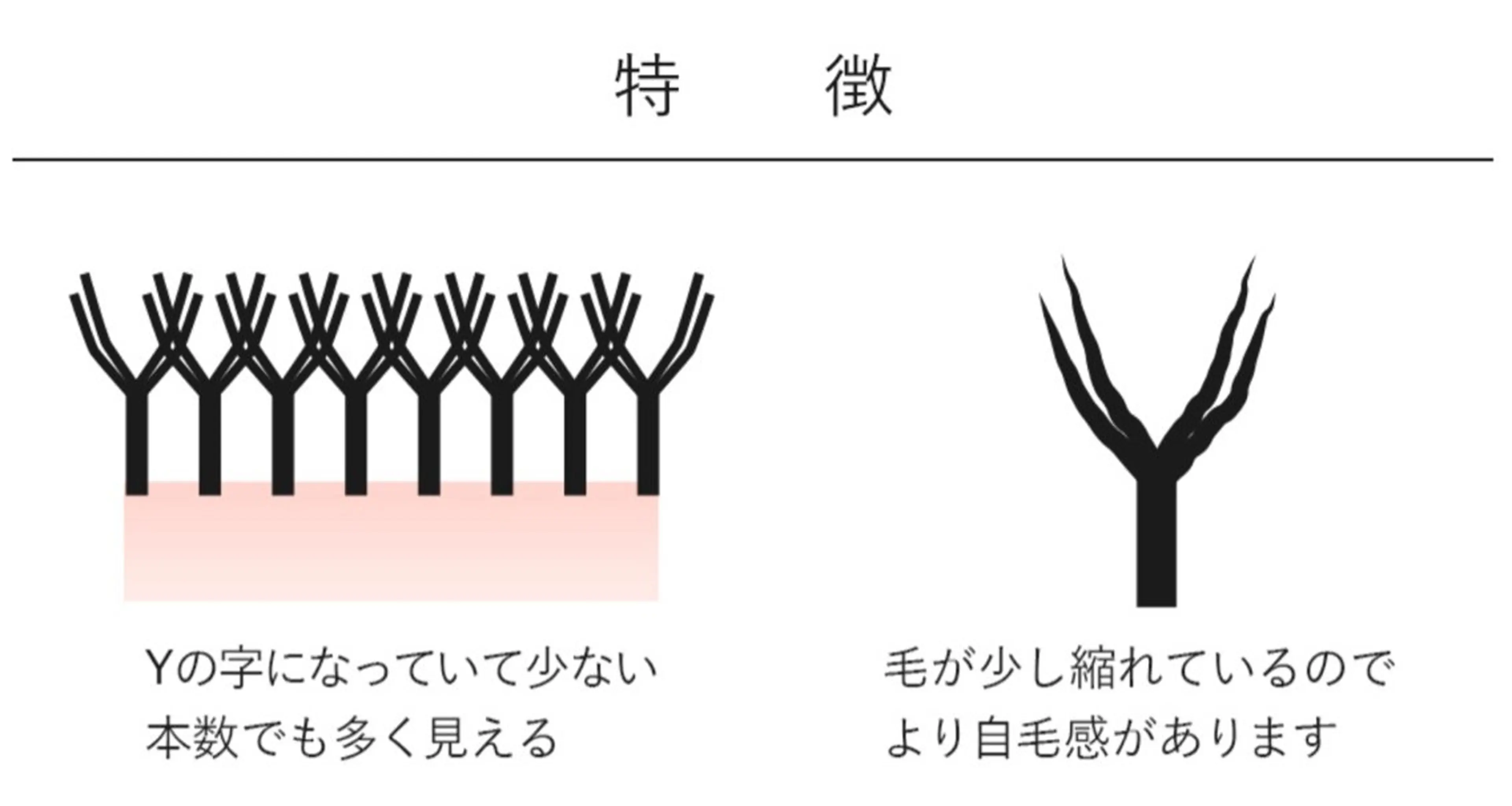 マツエク・マツパ ボリュームラッシュ 志賀 千鶴のその他イメージ