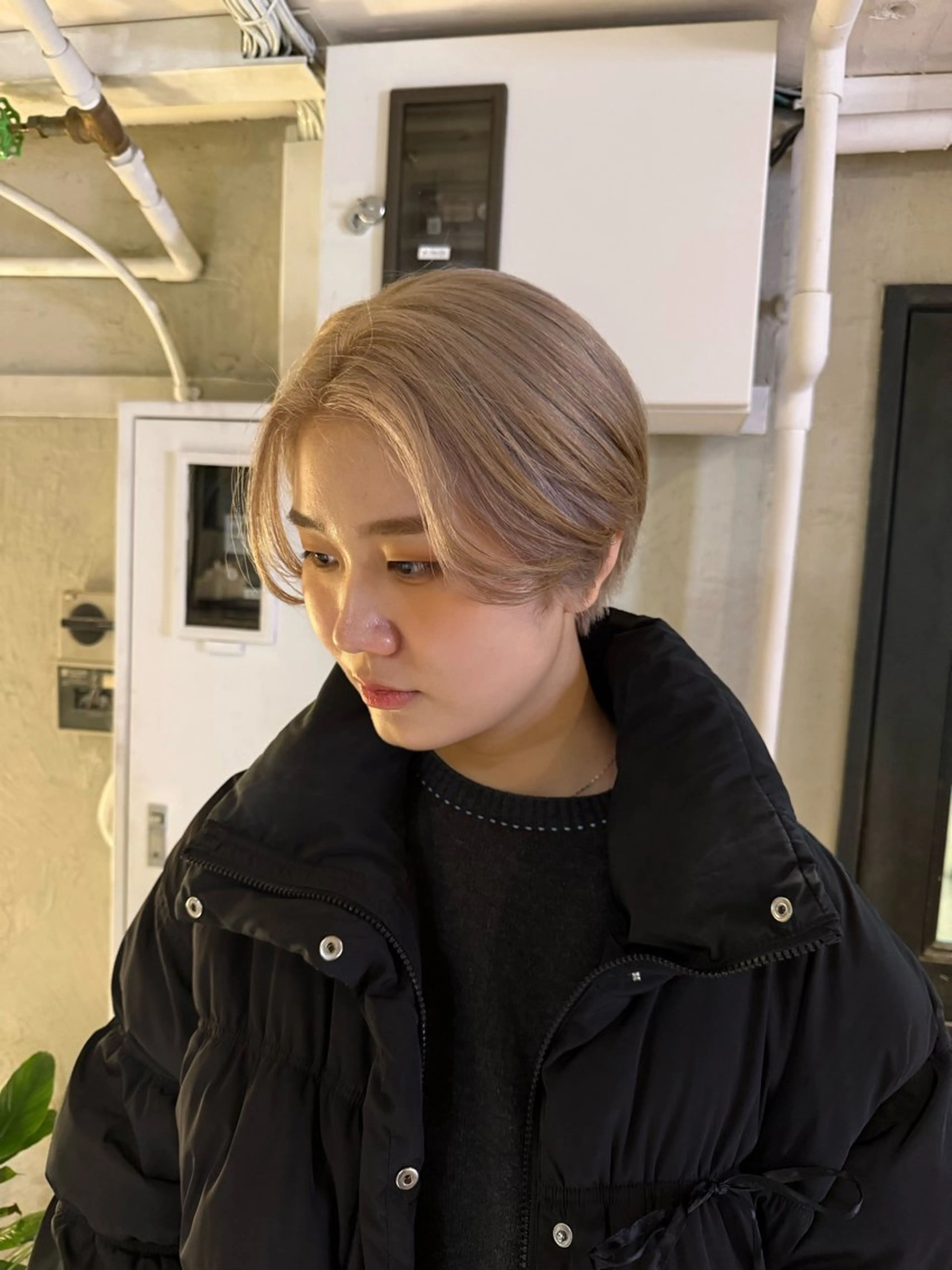 ショート カラー ヘアアレンジ ヘアカラー トリートメント ヘアセット 海外/ハイトーン🪽 ☯️ami☯️のヘアスタイル