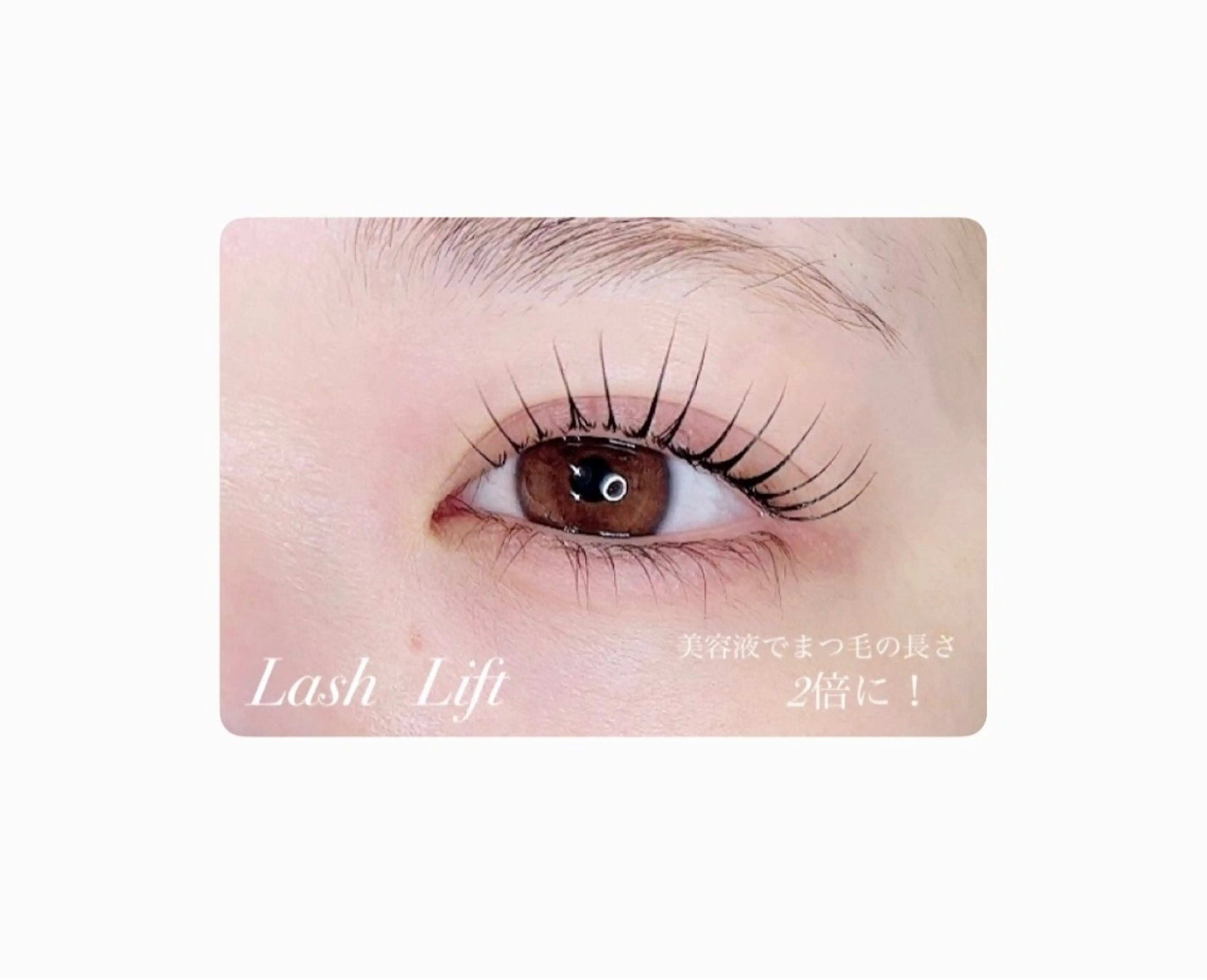 2か月以内の再来【Lash Lift】スピーディーな上まつ毛パーマの写真